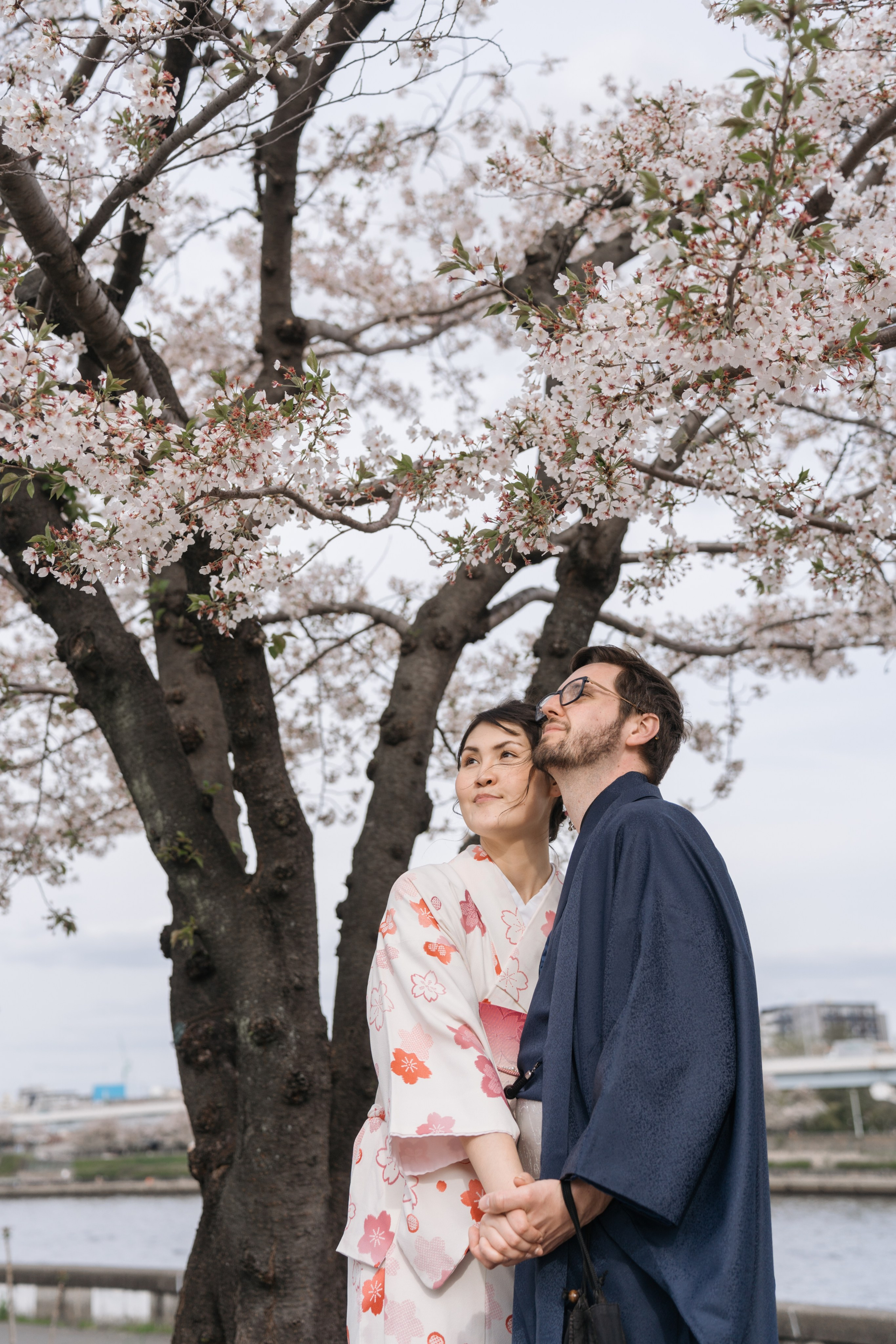 Kimono. Фотограф Алина Диева Москва | Токио