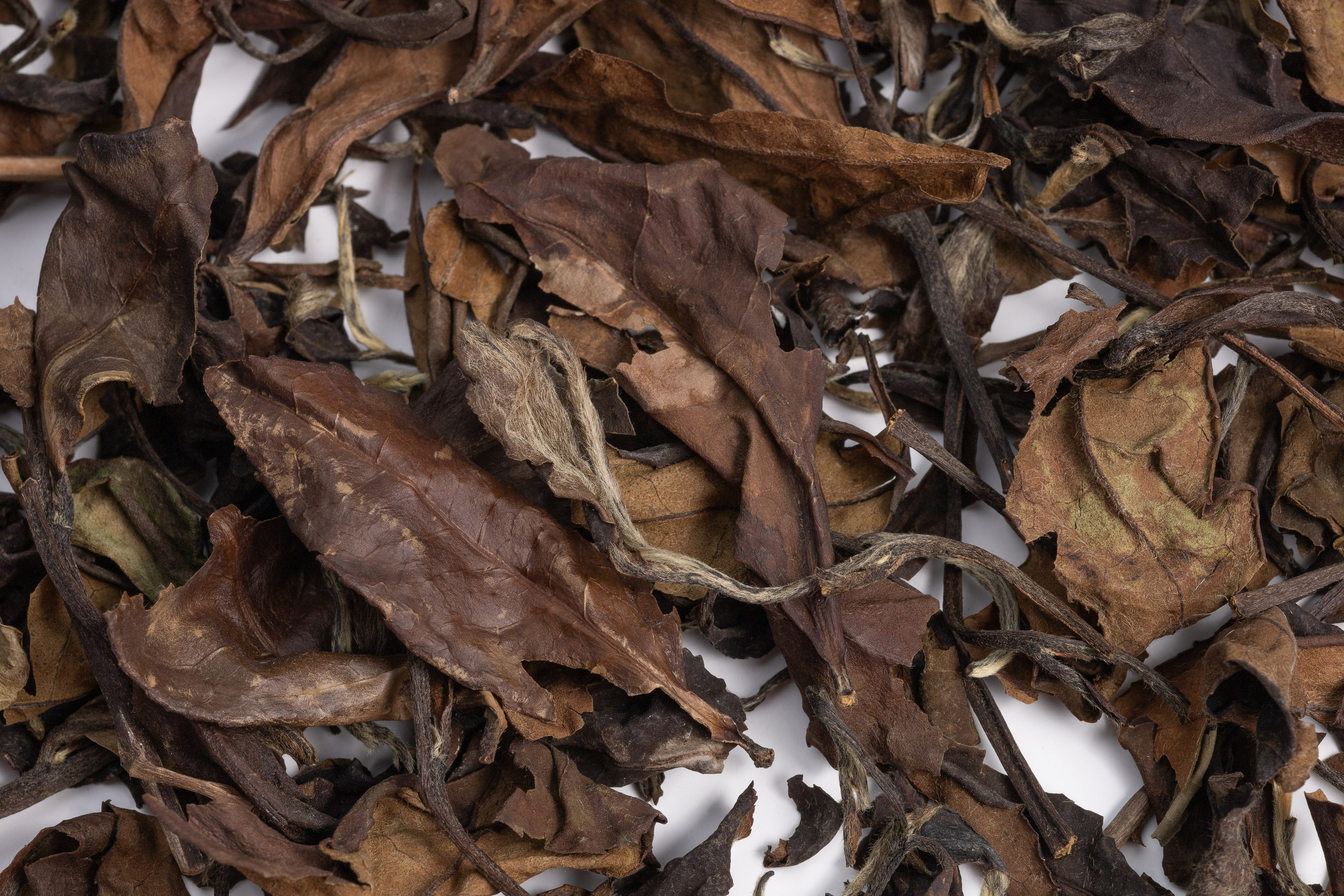 Фото для брендов и производителей в Павлодаре и Астане. Рекламный фуд фотограф и видеограф в Астане Алина Лысенко