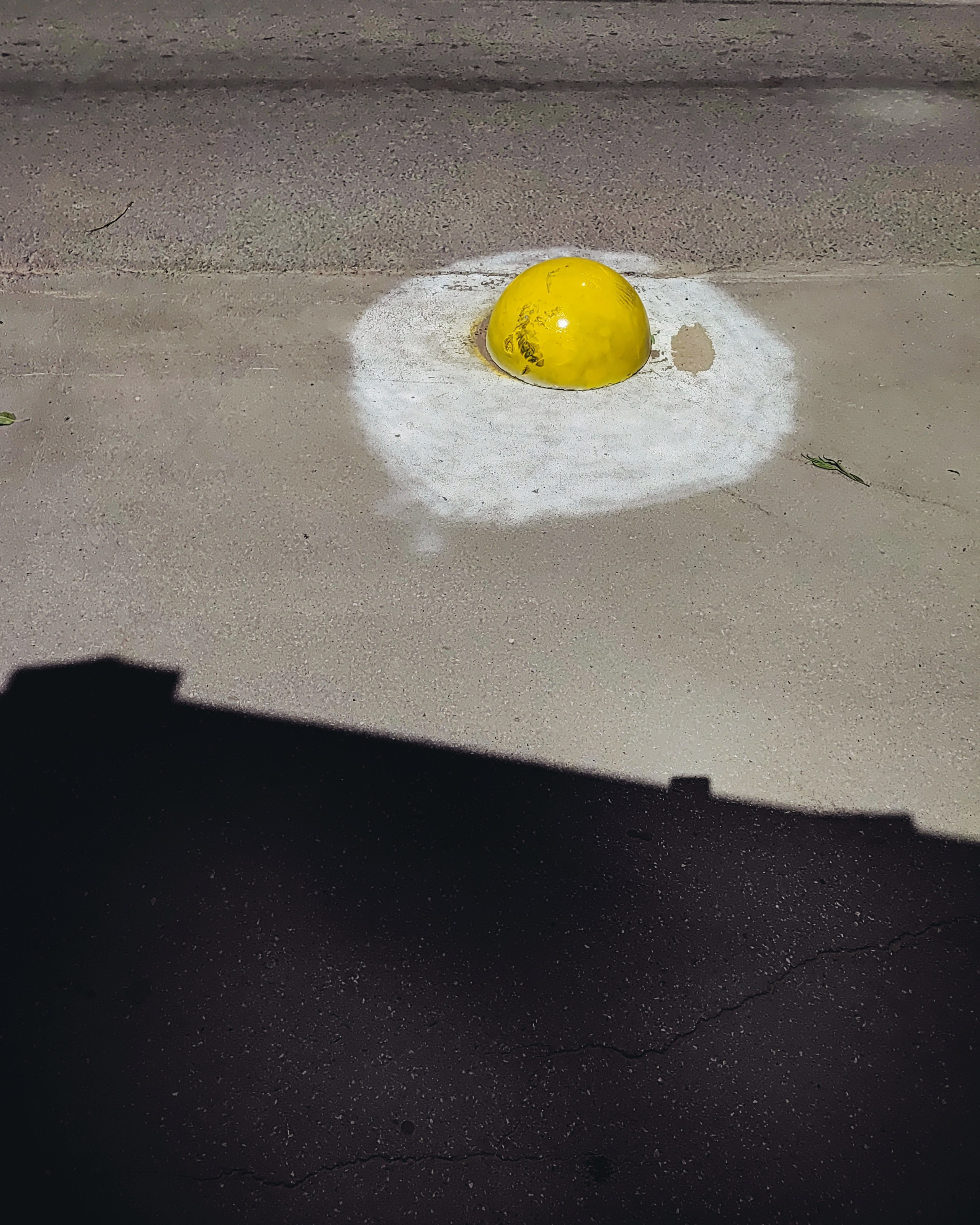 Намобилкус тульский. Репортажный фотограф Алексей Пирязев