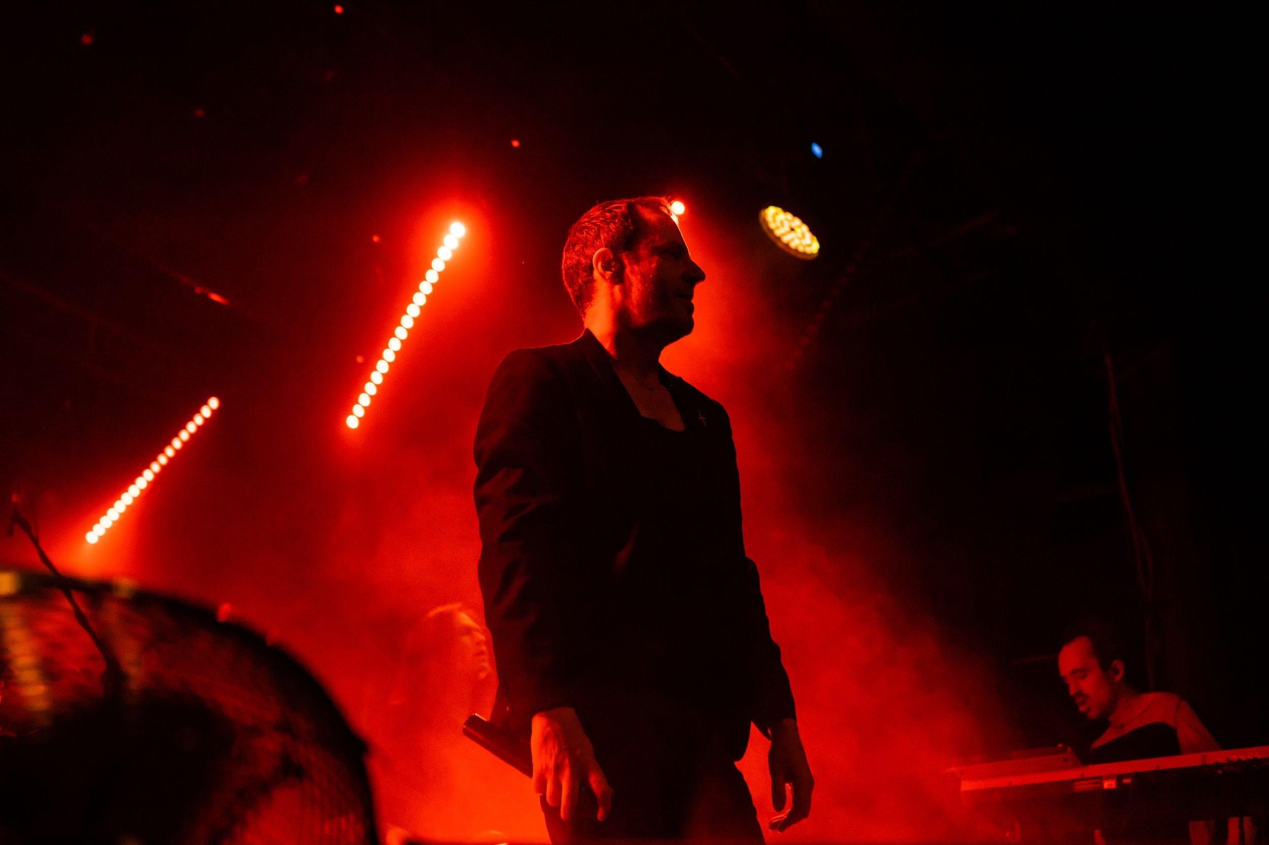 Animal ДжаZ. Репортажный фотограф Алексей Пирязев