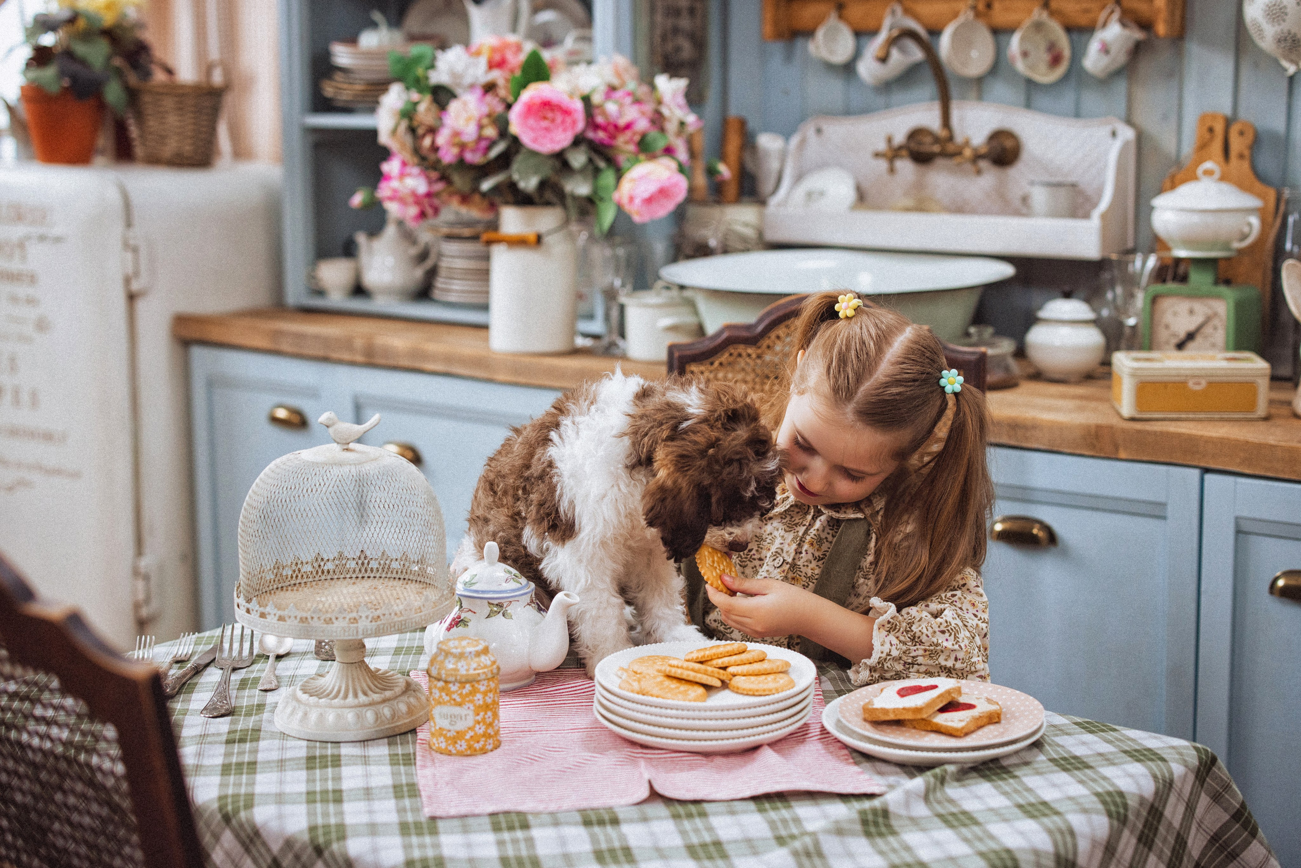 Фотосессия с щенками Лаго́тто-романьо́ло, в Винтажной фотостудии город Краснодар. Семейный и детский фотограф в Краснодаре Анна Трашкова