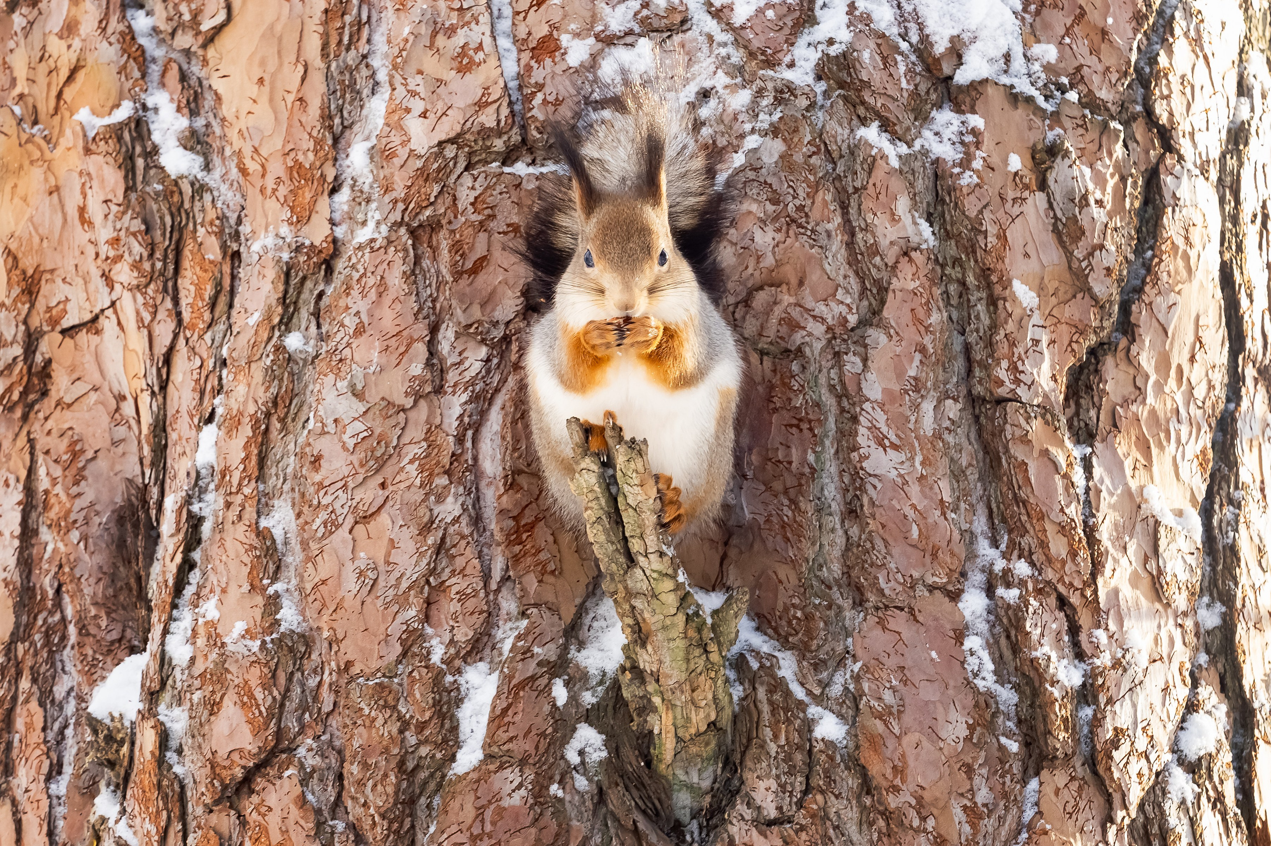 Красота Заречного. Репортажный, семейный и детский фотограф в Пензе и Заречном Арина Ермилова. Картины барельеф на заказ