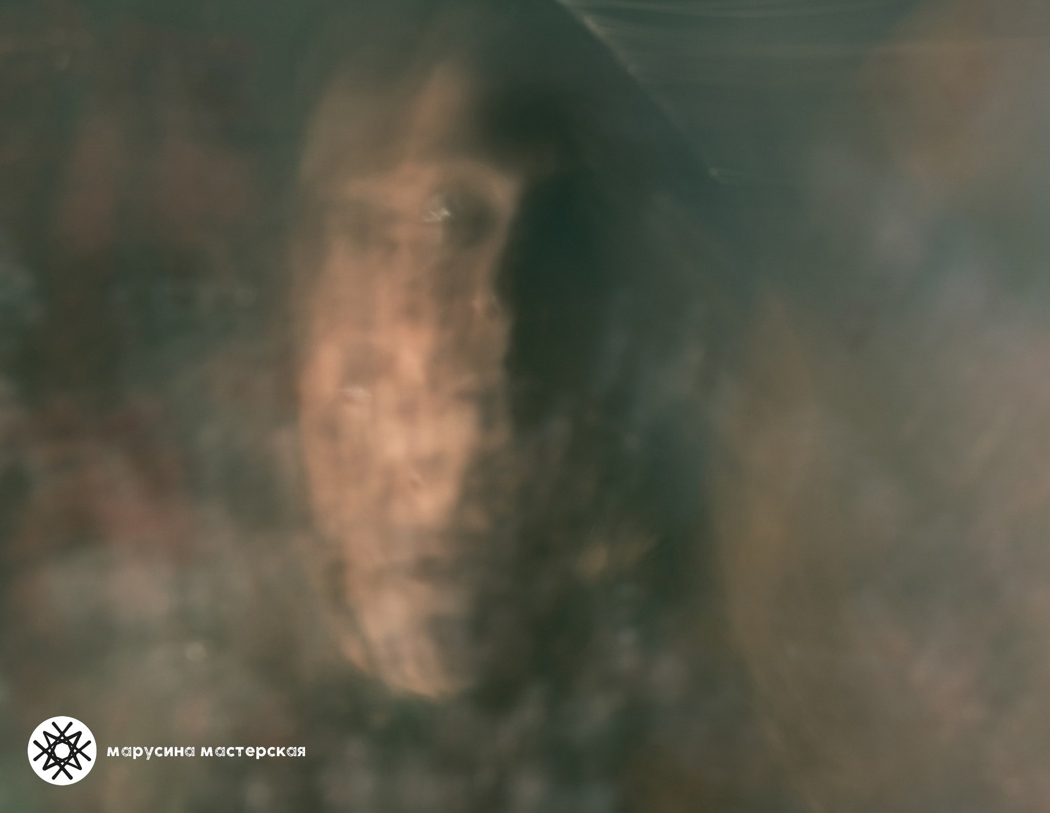 Творческая фотография, снятая в рамках зимней творческой практики, автор — Наталья Кириллова