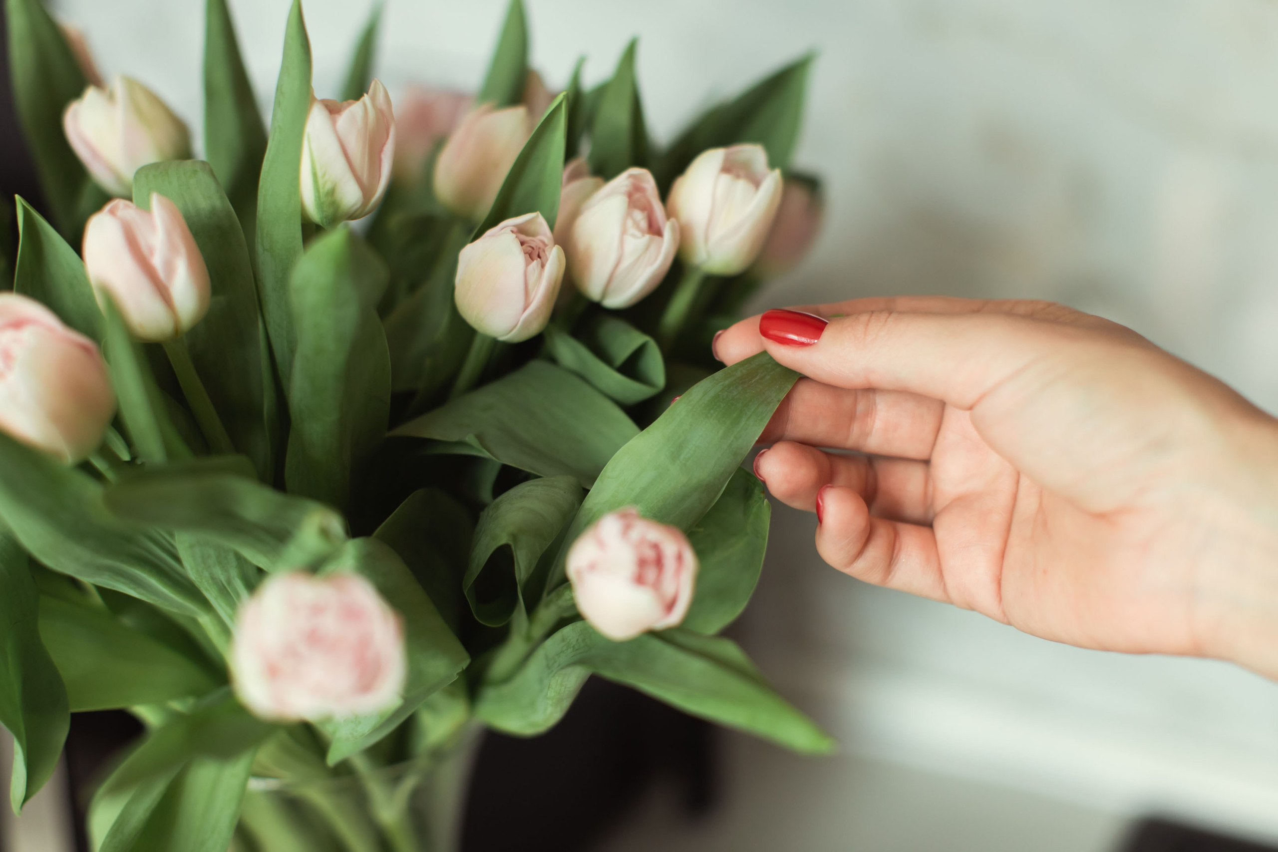 Индивидуальные фотосессии. In.Love.With.You.Photo — фотограф Анастасия Сошенкова