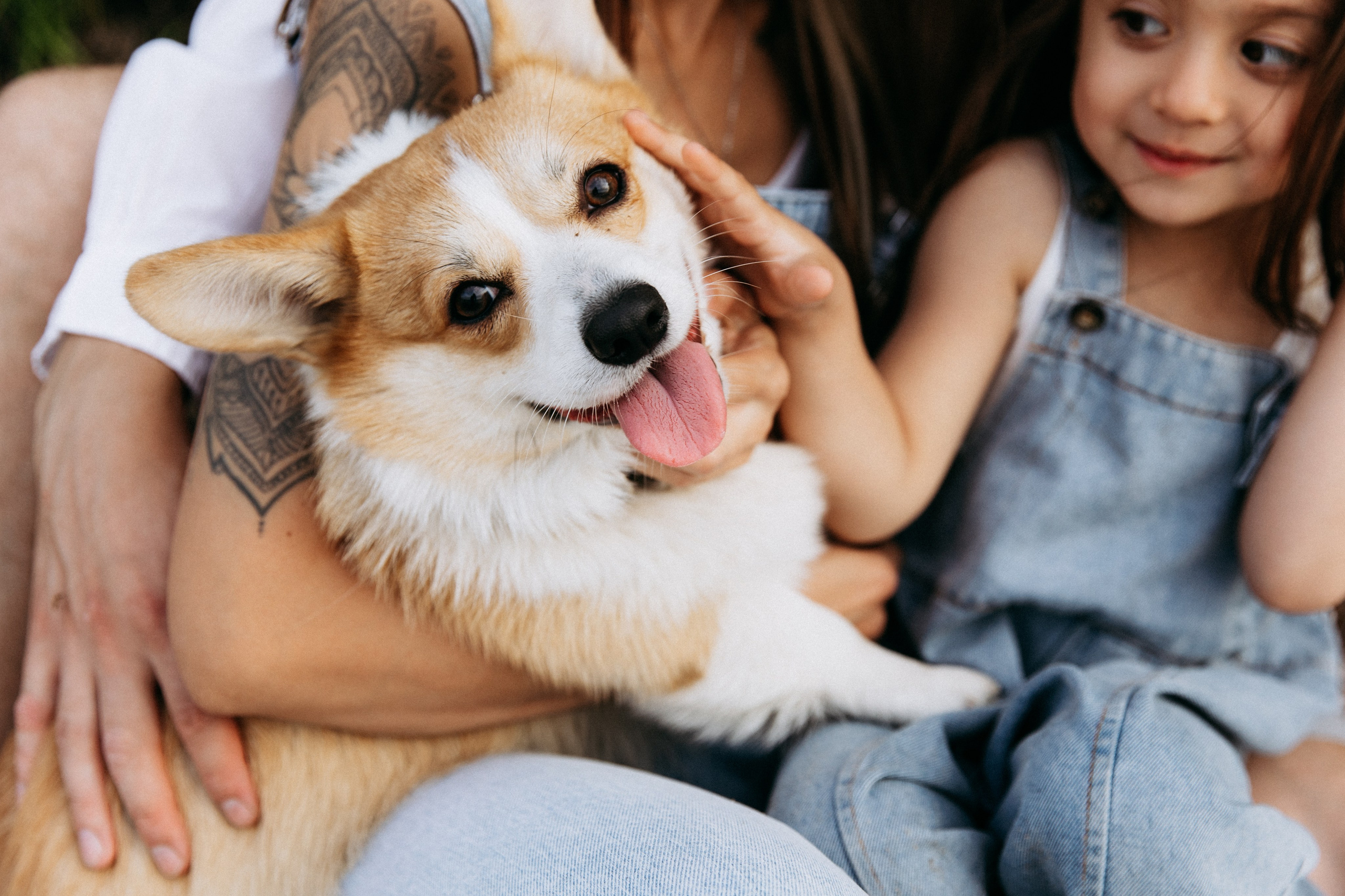 Пикник с Бетти. Главная