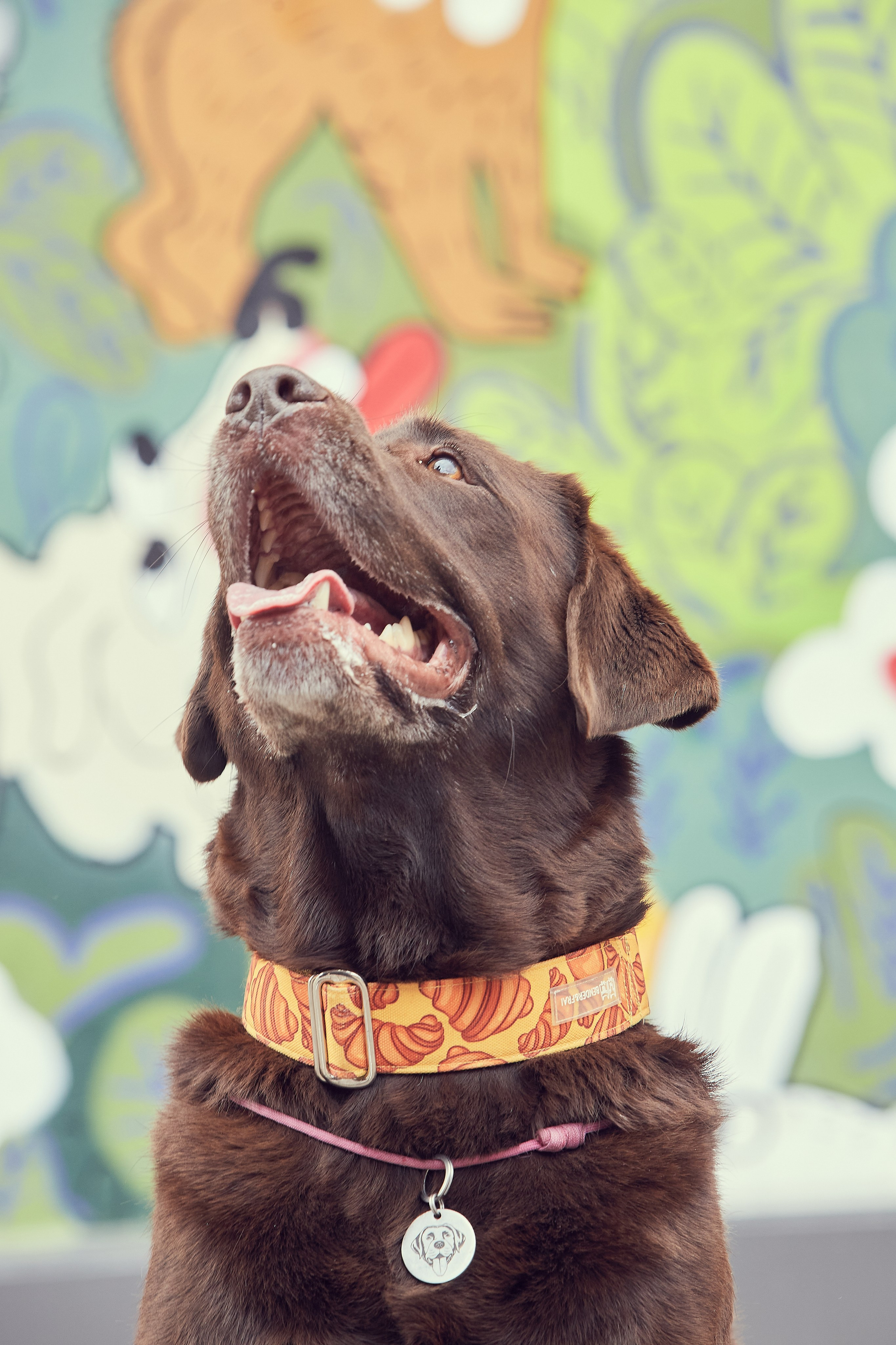 Портретная фотосессия Софы и питомцев. Екатерина Осипова — профессиональный фотограф в Москве