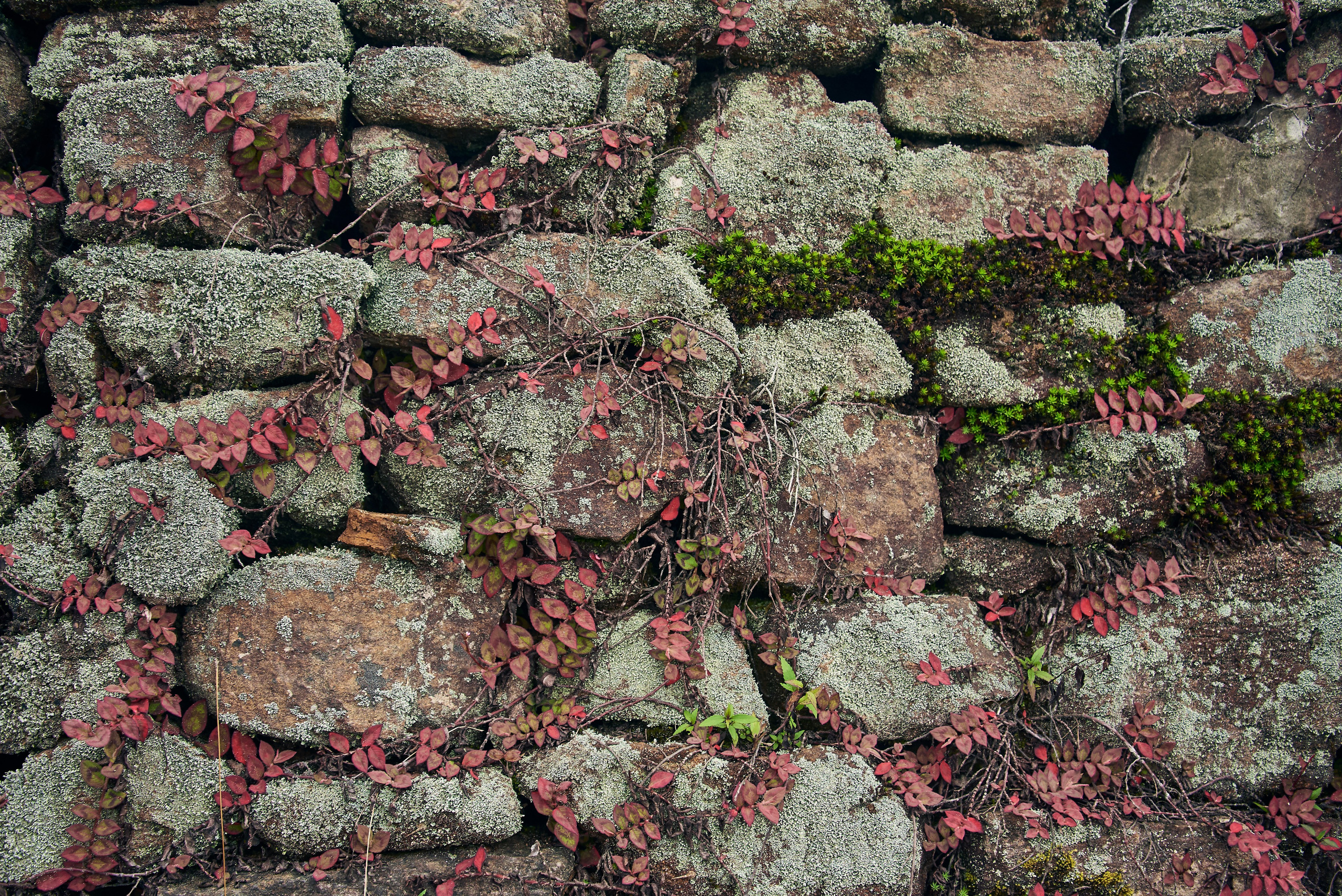 Moto Trip 23-05-19. Никита Хохловский фото и видео продакшн