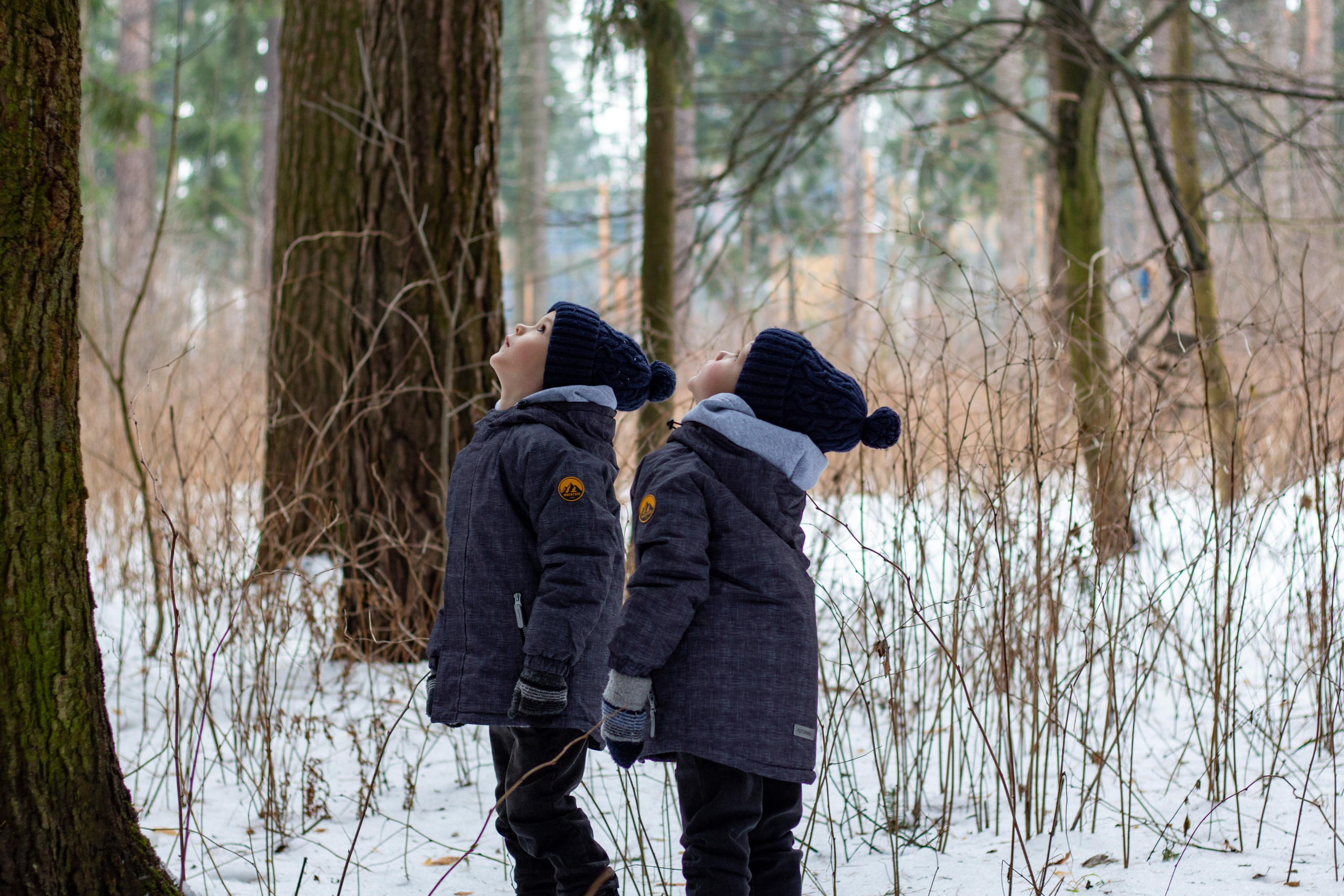 Новогодний уют. Фотограф • Орехово-Зуево • Балашиха • TEFO