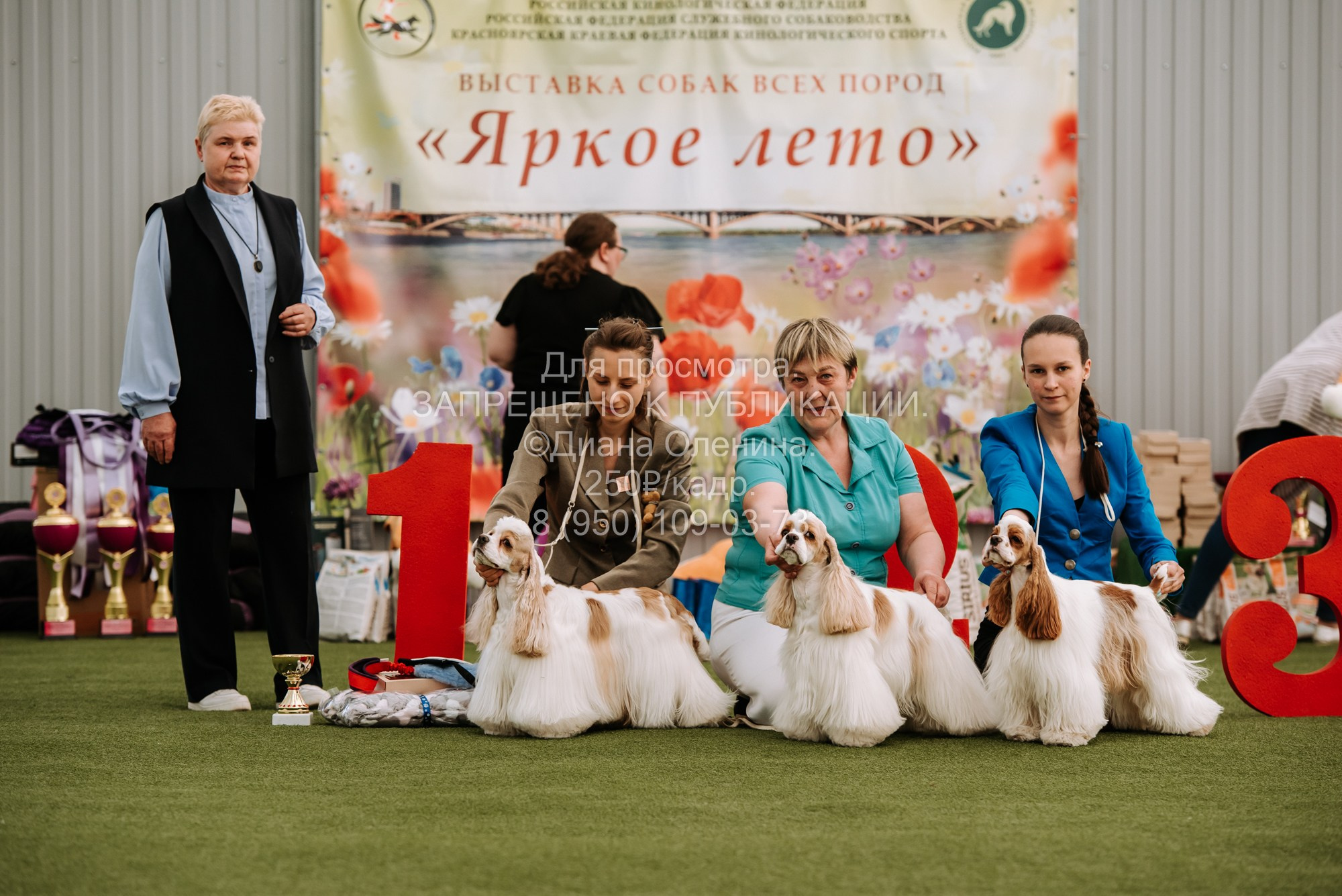 Выставка собак Красноярск 2.06. Фотограф Диана Оленина Красноярск / Братск