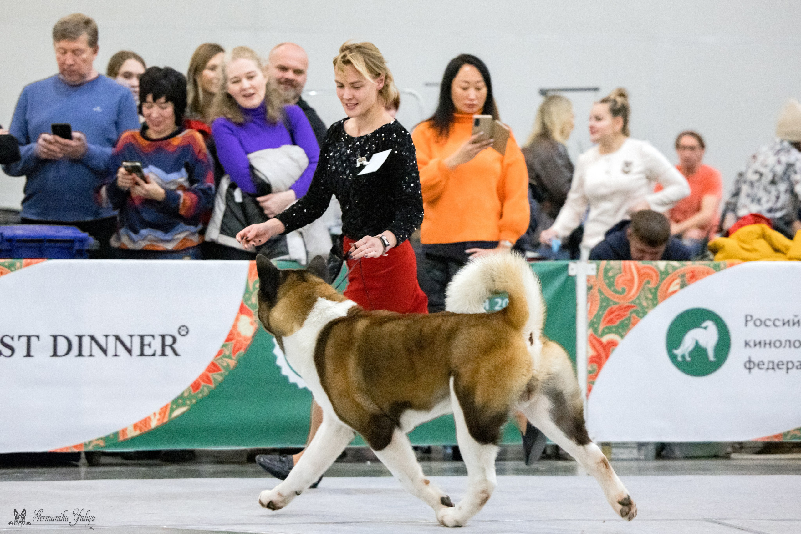ЕВРАЗИЯ 18-19.11.2023. Фотограф-анималист Юлия Германика