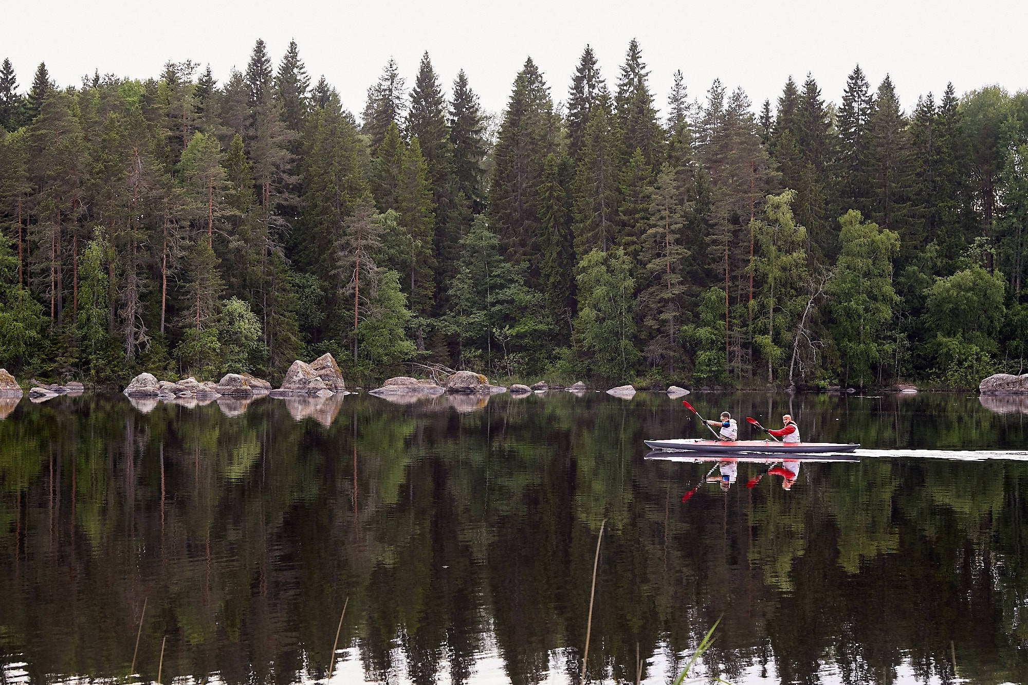Путешествия