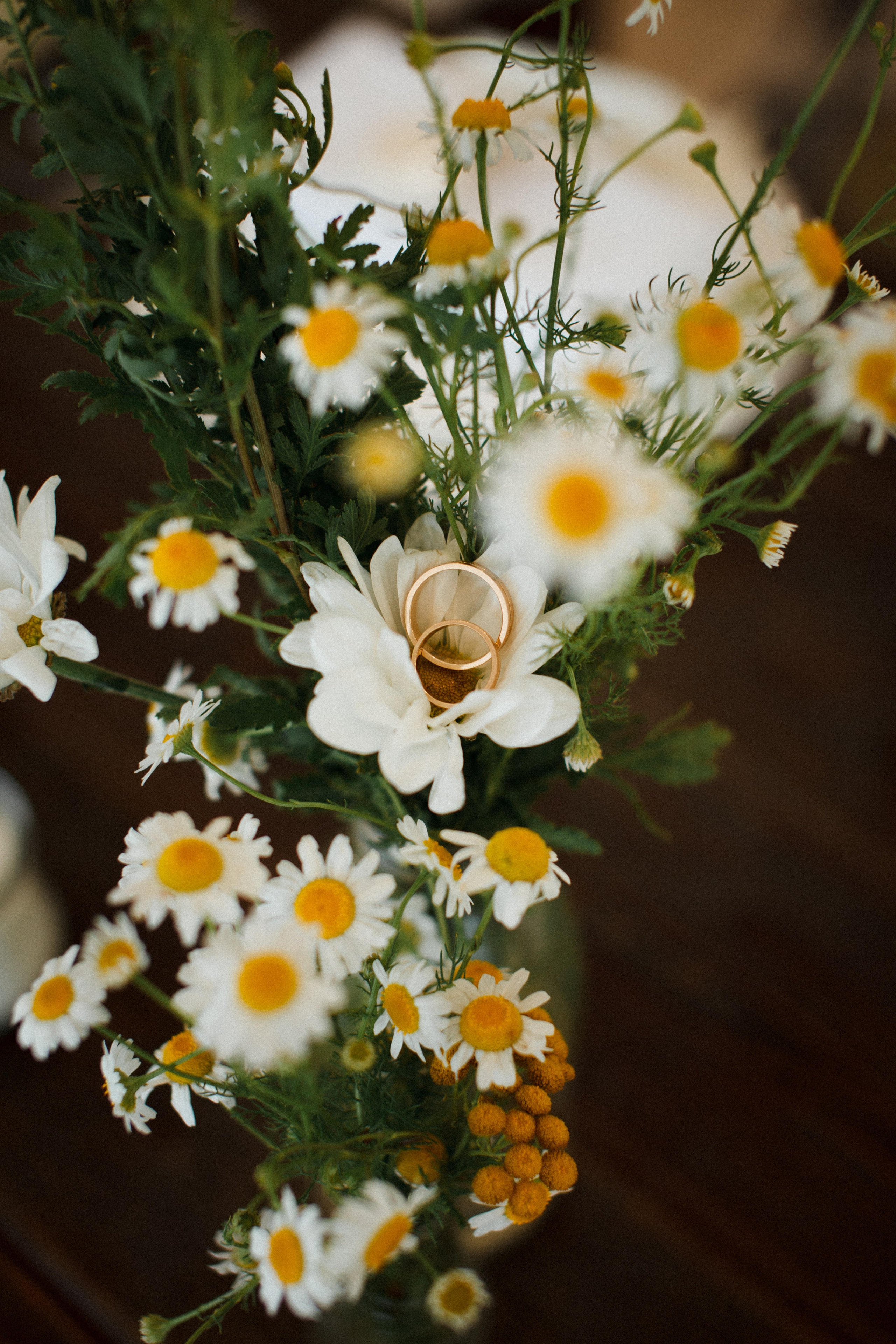 J & P. Фотограф Ростов-на-Дону Свадебный Фотограф в Ростове Ксения Орлова