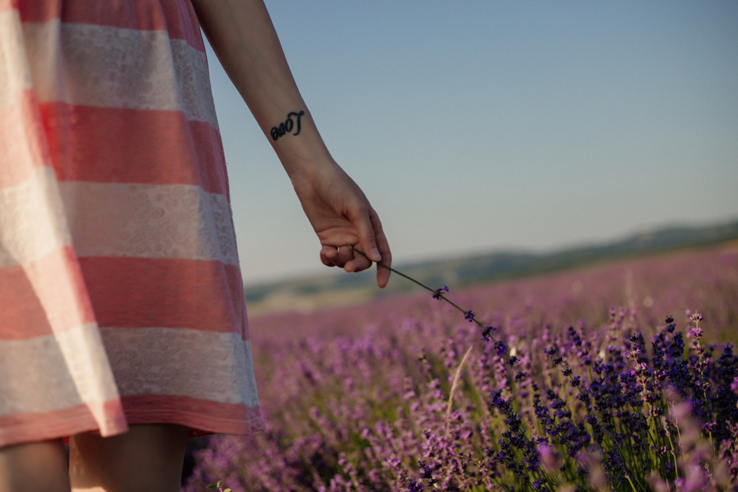 Лаванда. Фотограф и Видеограф Севастополь Крым