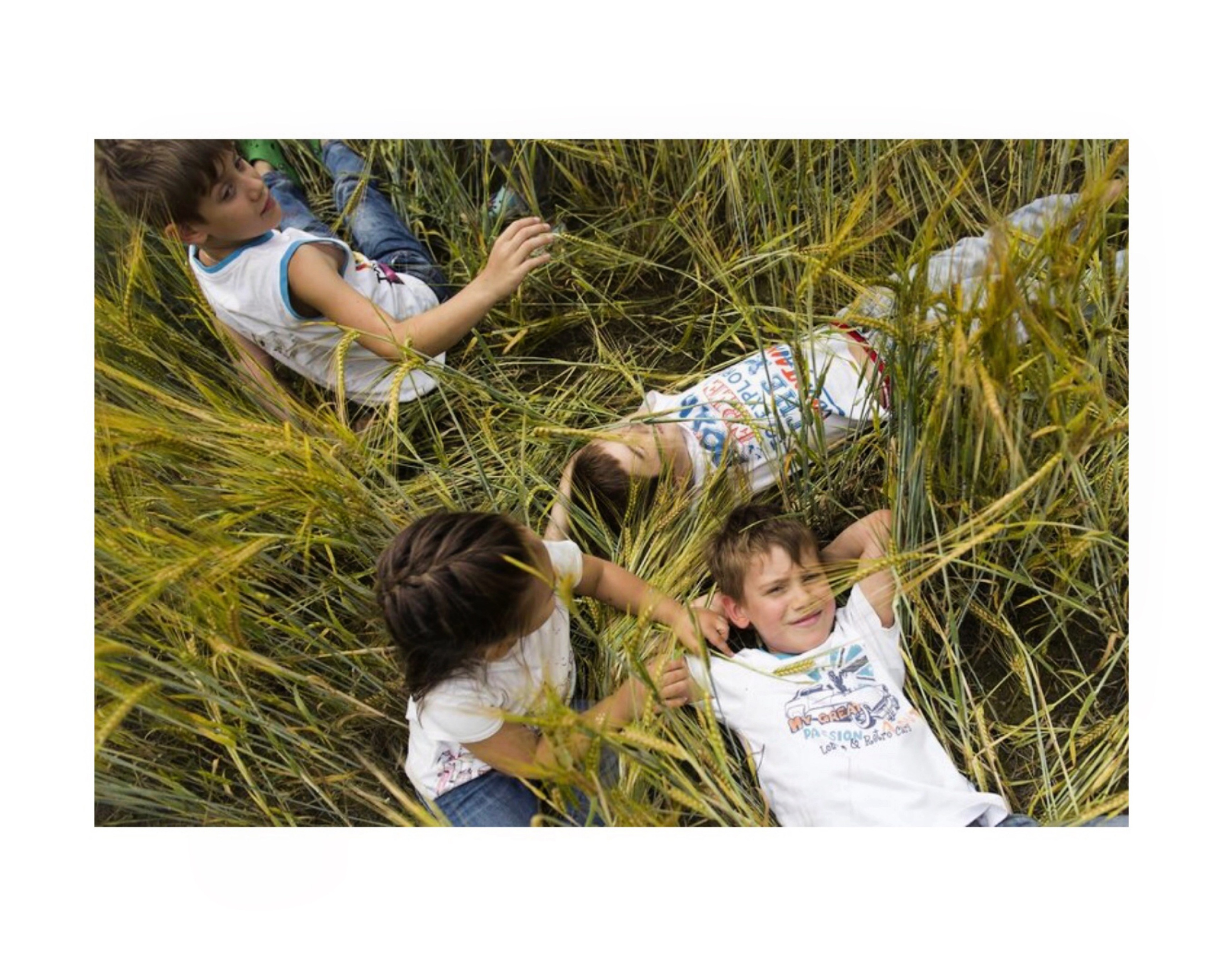 В поле. Главная