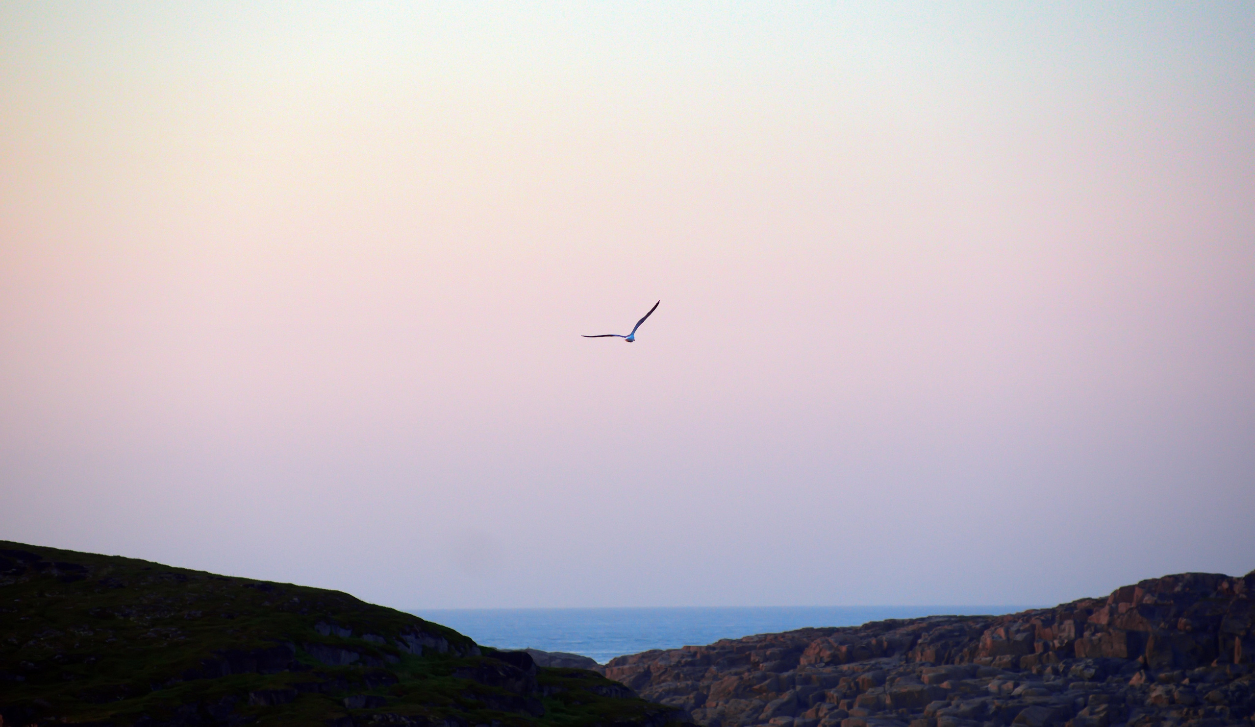 Пейзаж. Вадим Шейдин