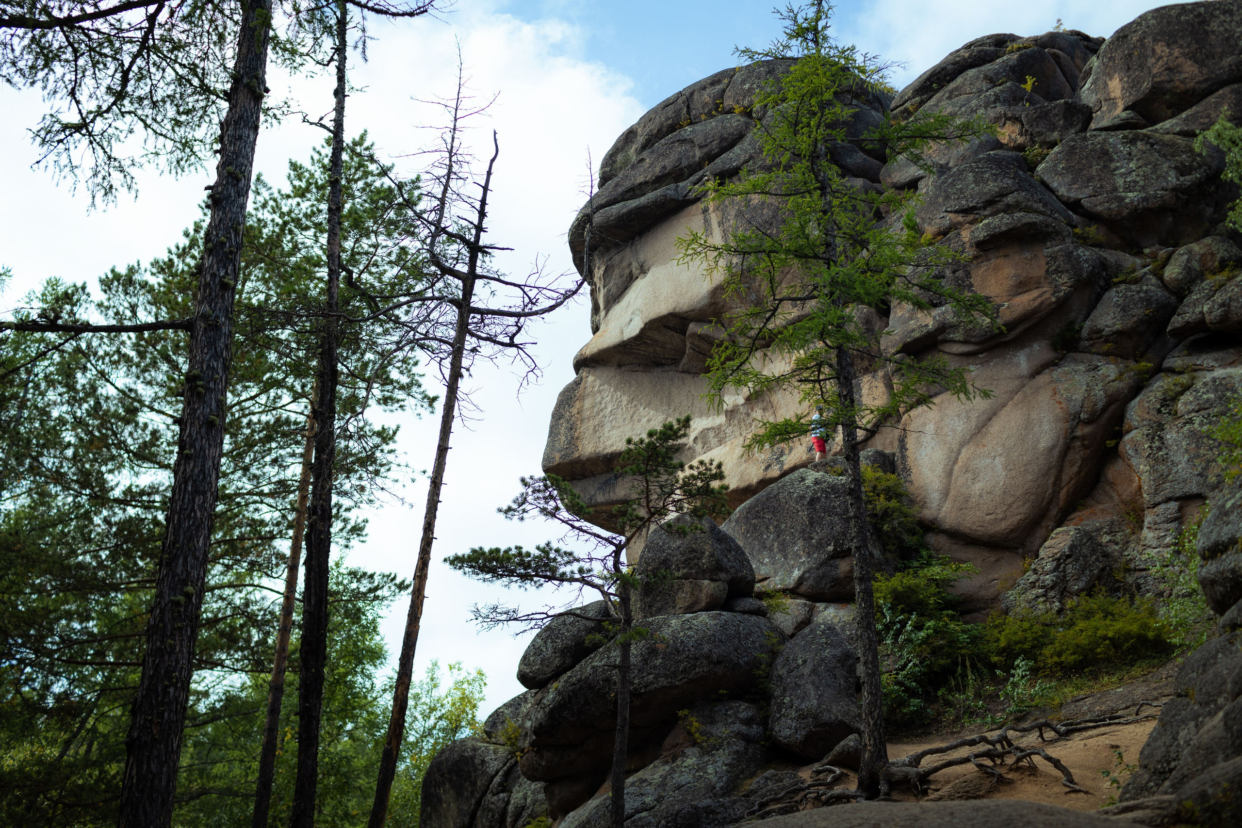 Красноярск (осень 2023). Фотограф Виноградов Константин