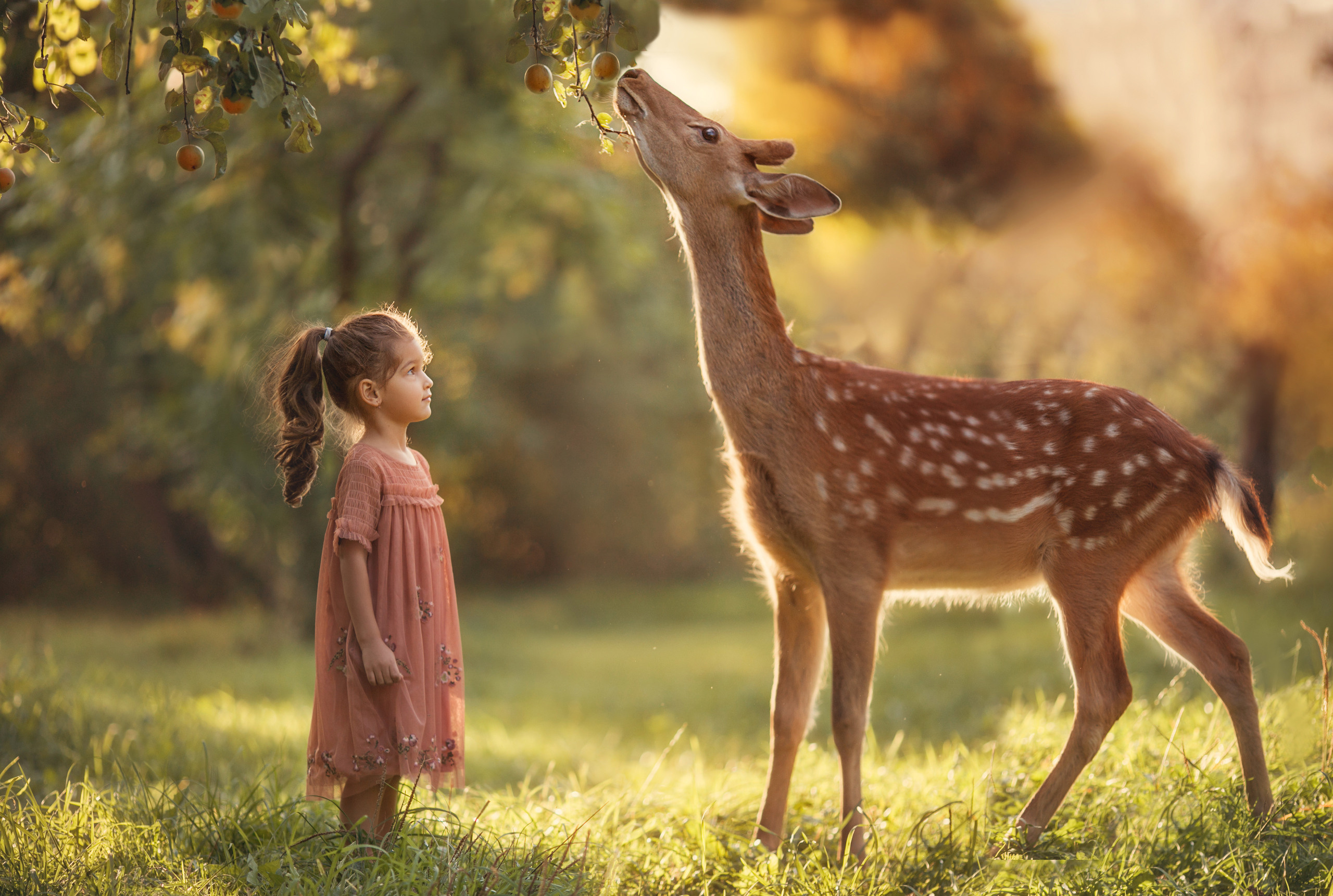 Осенние съемки. Детский и семейный фотограф Александра Грекова