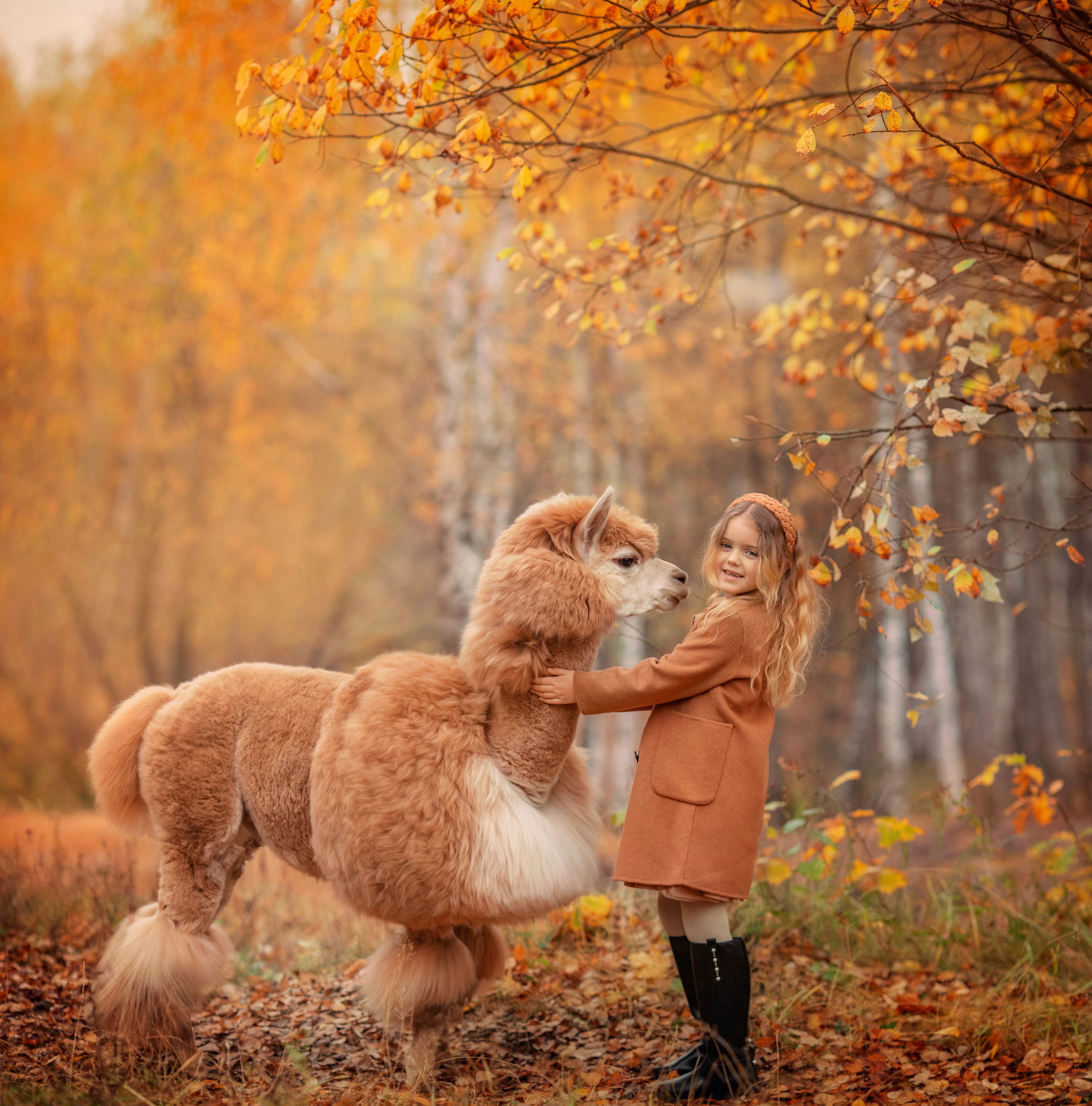 Осенние съемки. Детский и семейный фотограф Александра Грекова