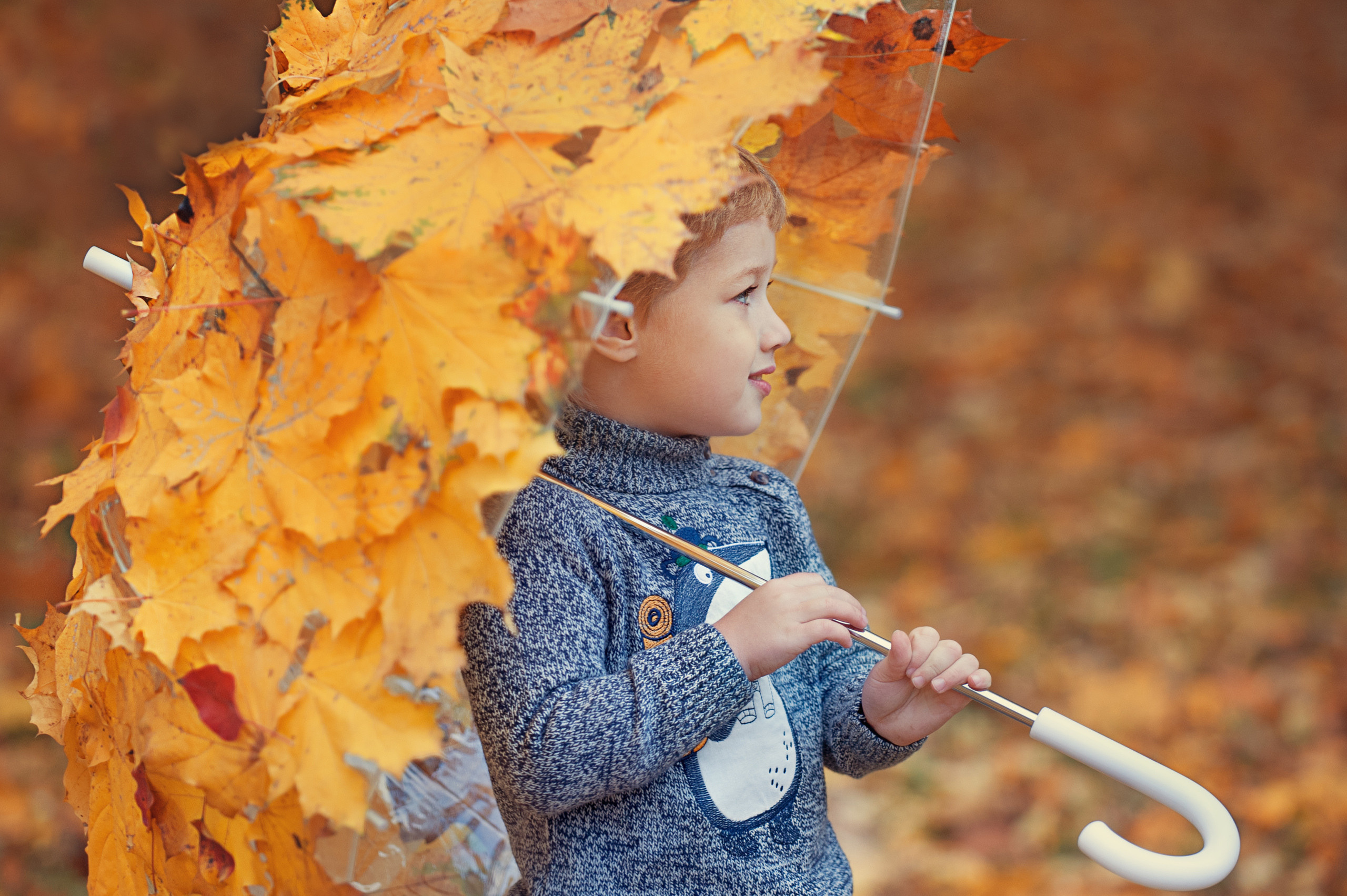 Осенние съемки. Детский и семейный фотограф Александра Грекова