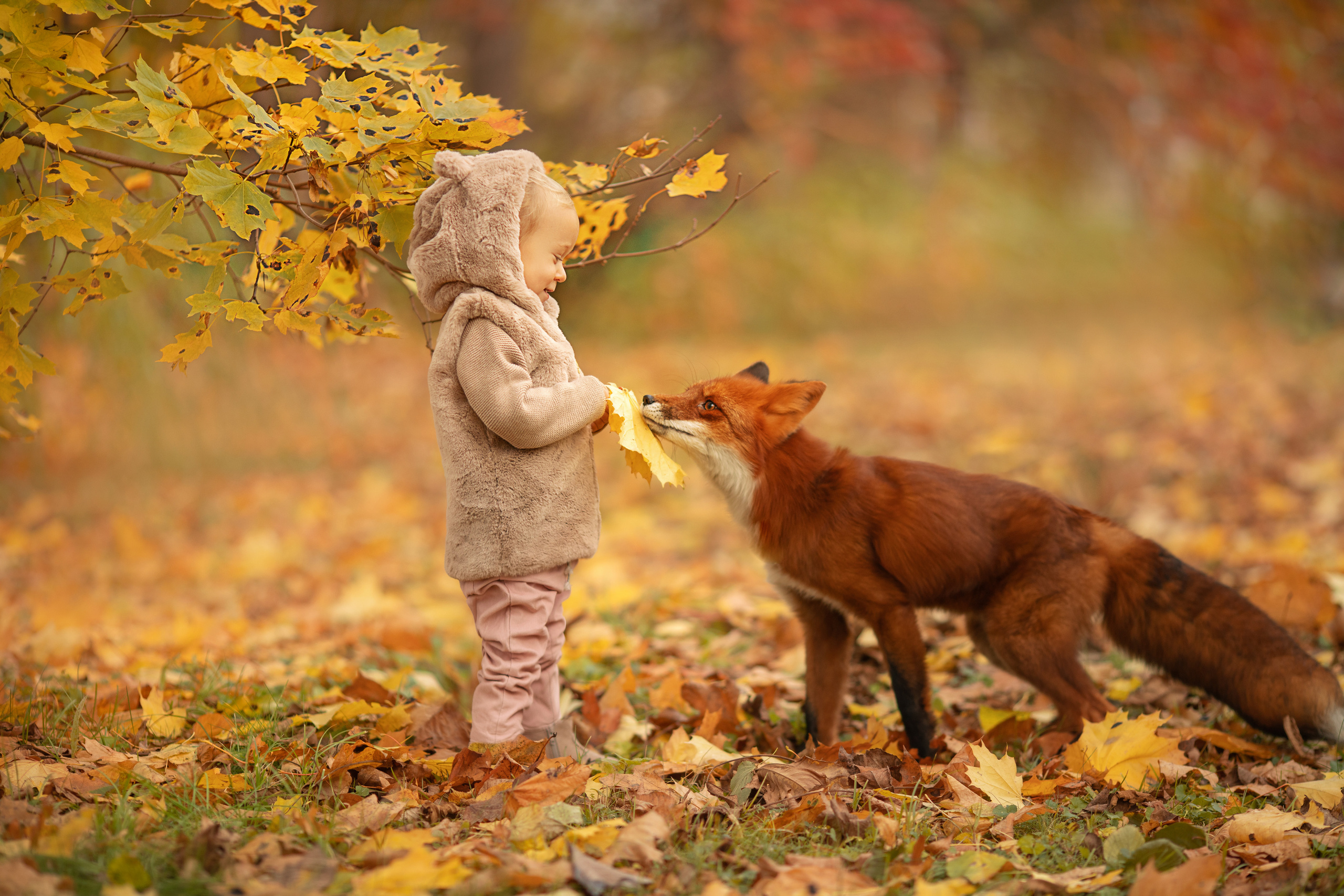 Осенние съемки. Детский и семейный фотограф Александра Грекова