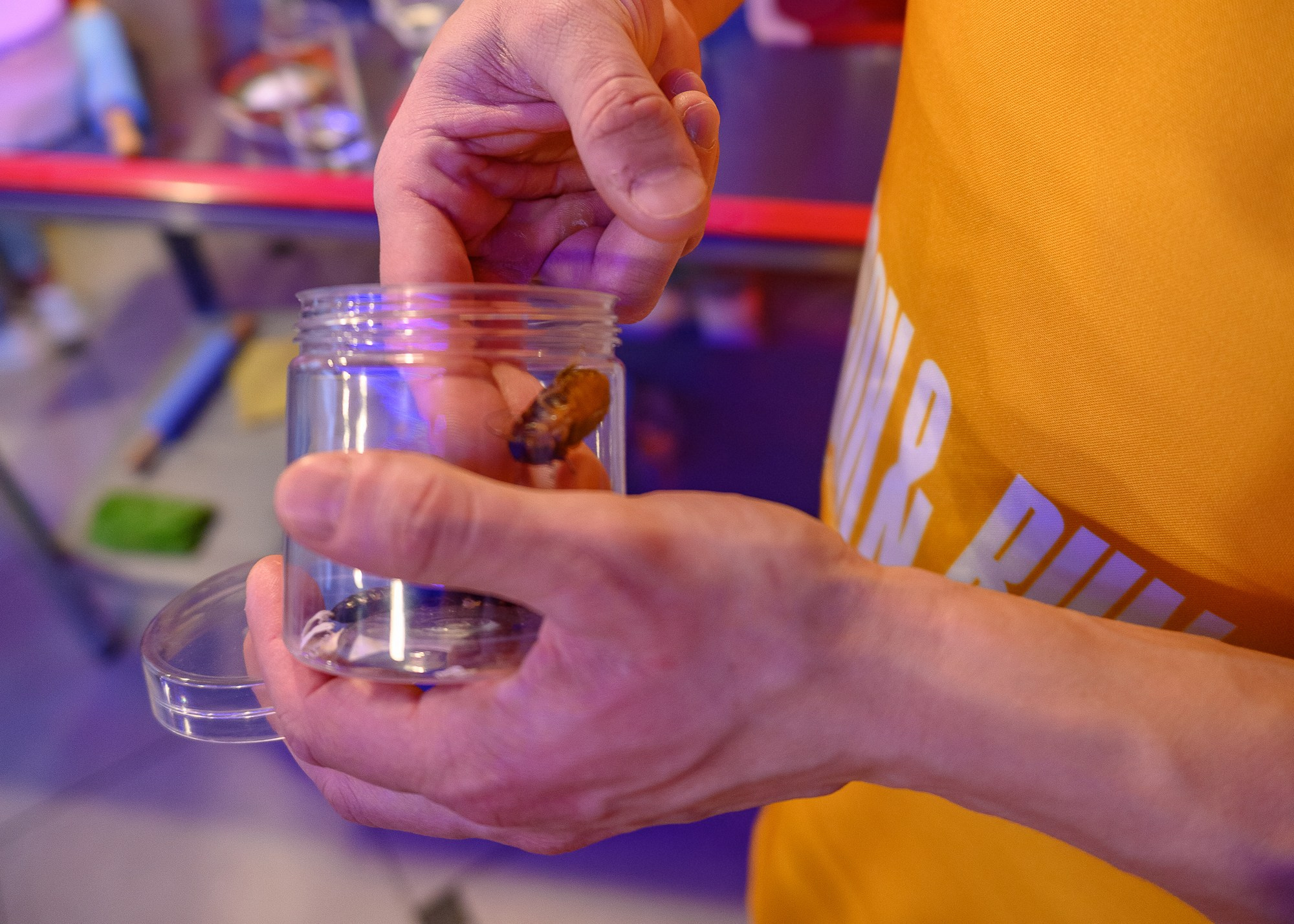 Кулинарный квест-шоу CooknRun. Фотограф Александр Данилов