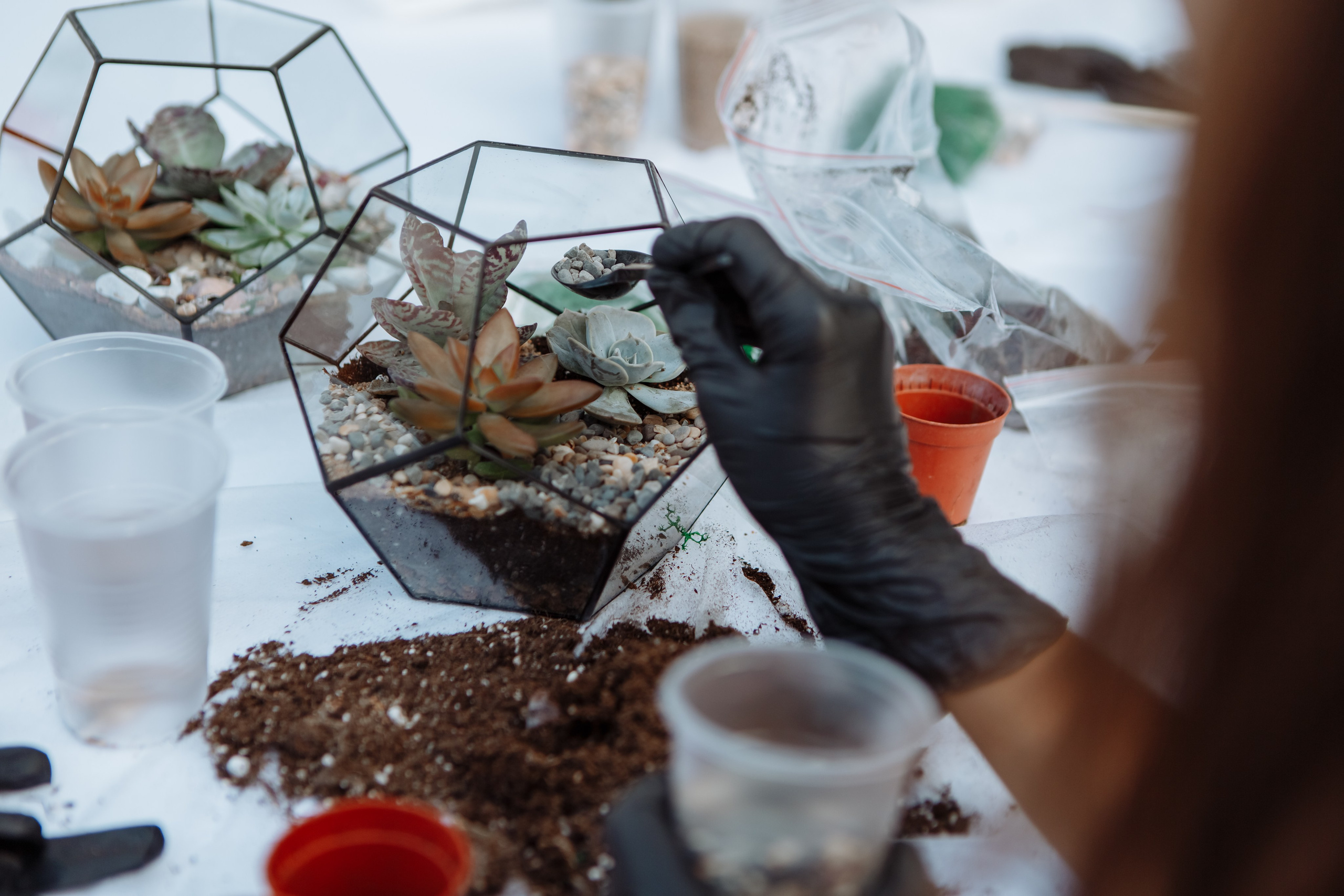 Лиза Виктор. Свадебный фотограф в Санкт-Петербурге
