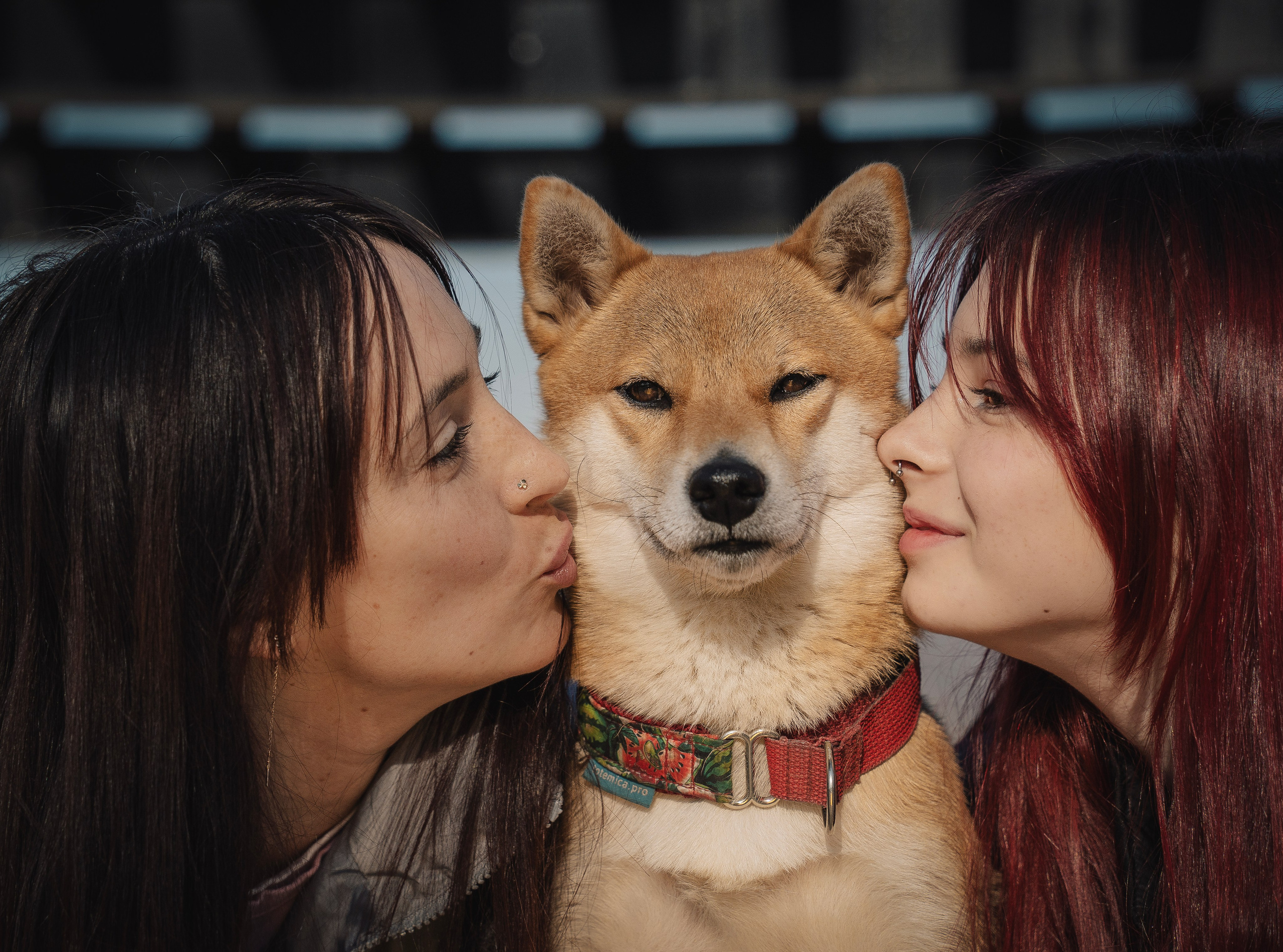Семейная история. Семейный фотограф анималист г. Находка