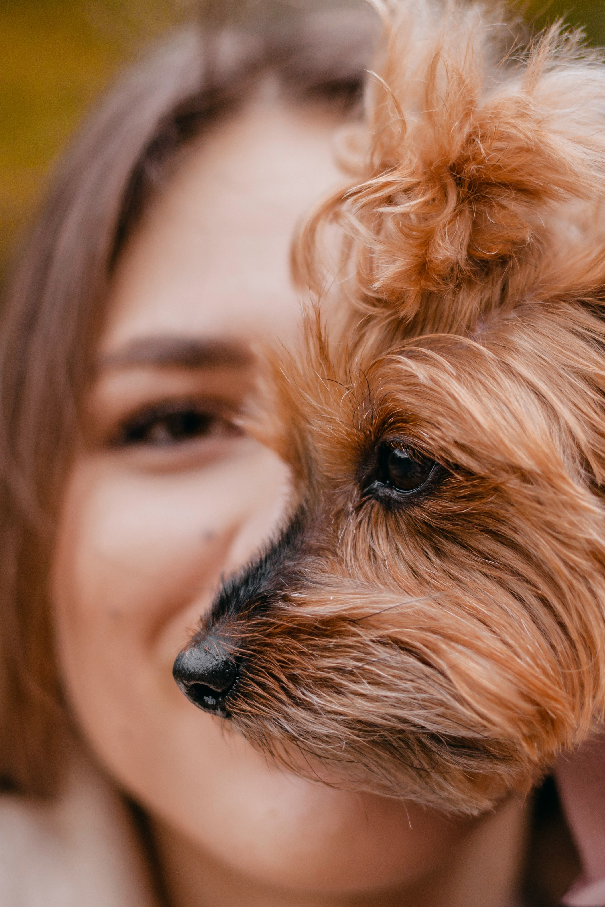 Катя и Моня. Фотограф-анималист Татьяна Степанова