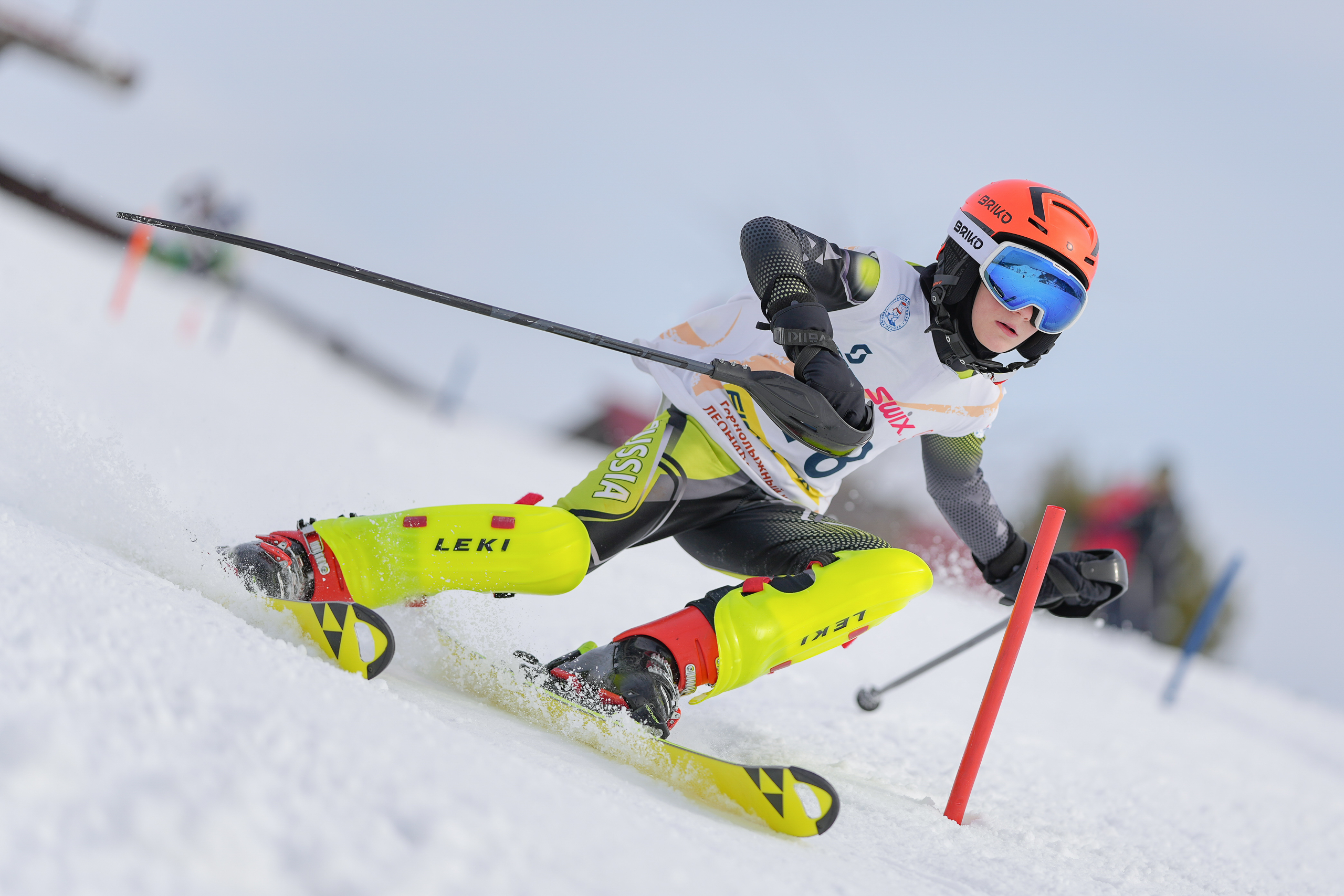 SL (Slalom) - Слалом. Соревнования по горнолыжному спорту. Московская область, Шуколово