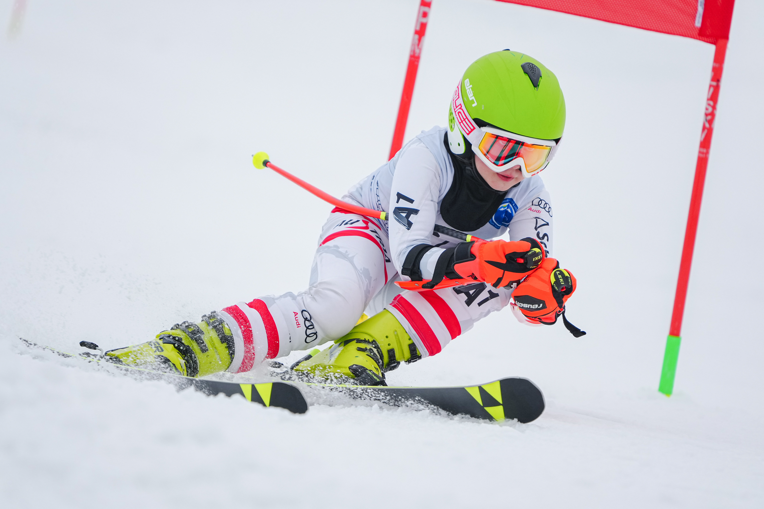 GS (Giant Slalom) - Слалом-гигант. Соревнования по горнолыжному спорту. Московская область, Шуколово