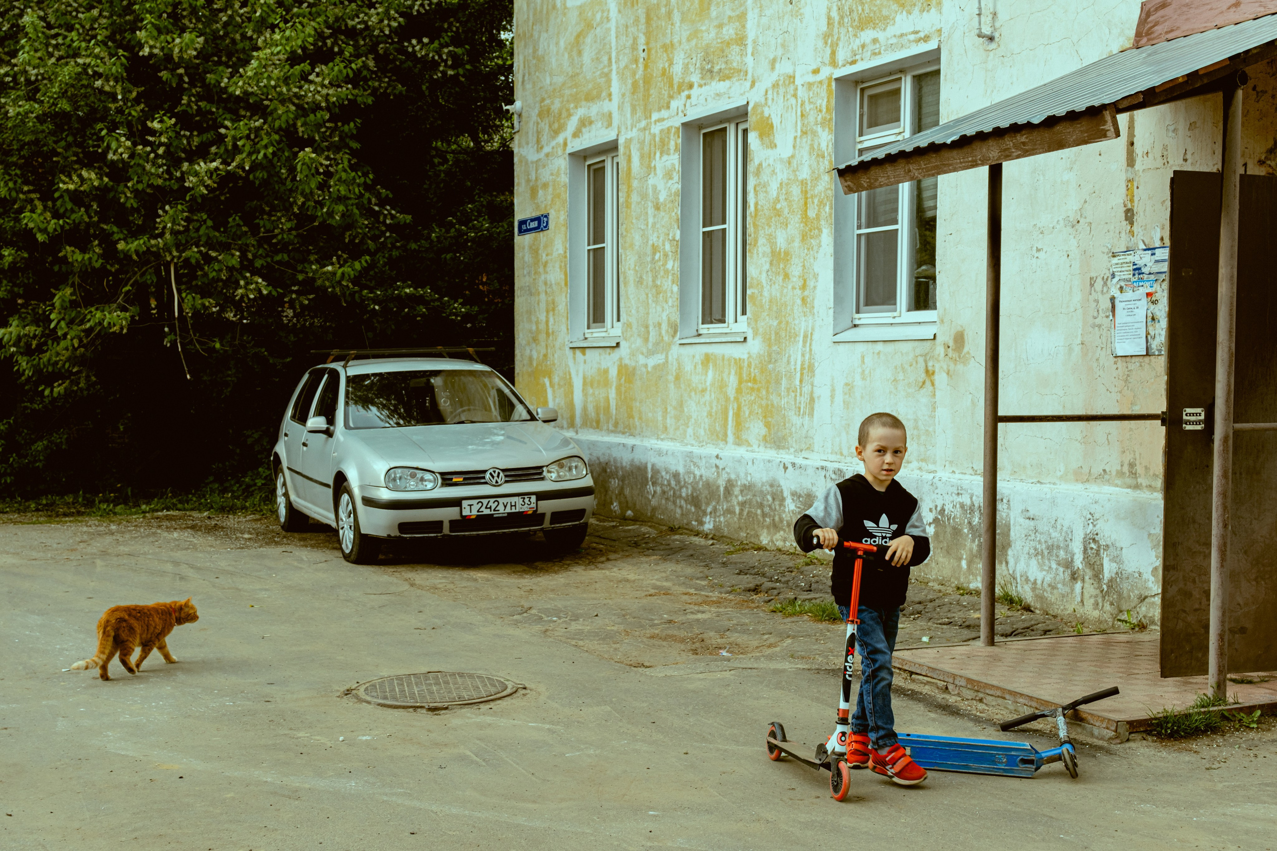Владимир. Екатерина Лапина фотографирует