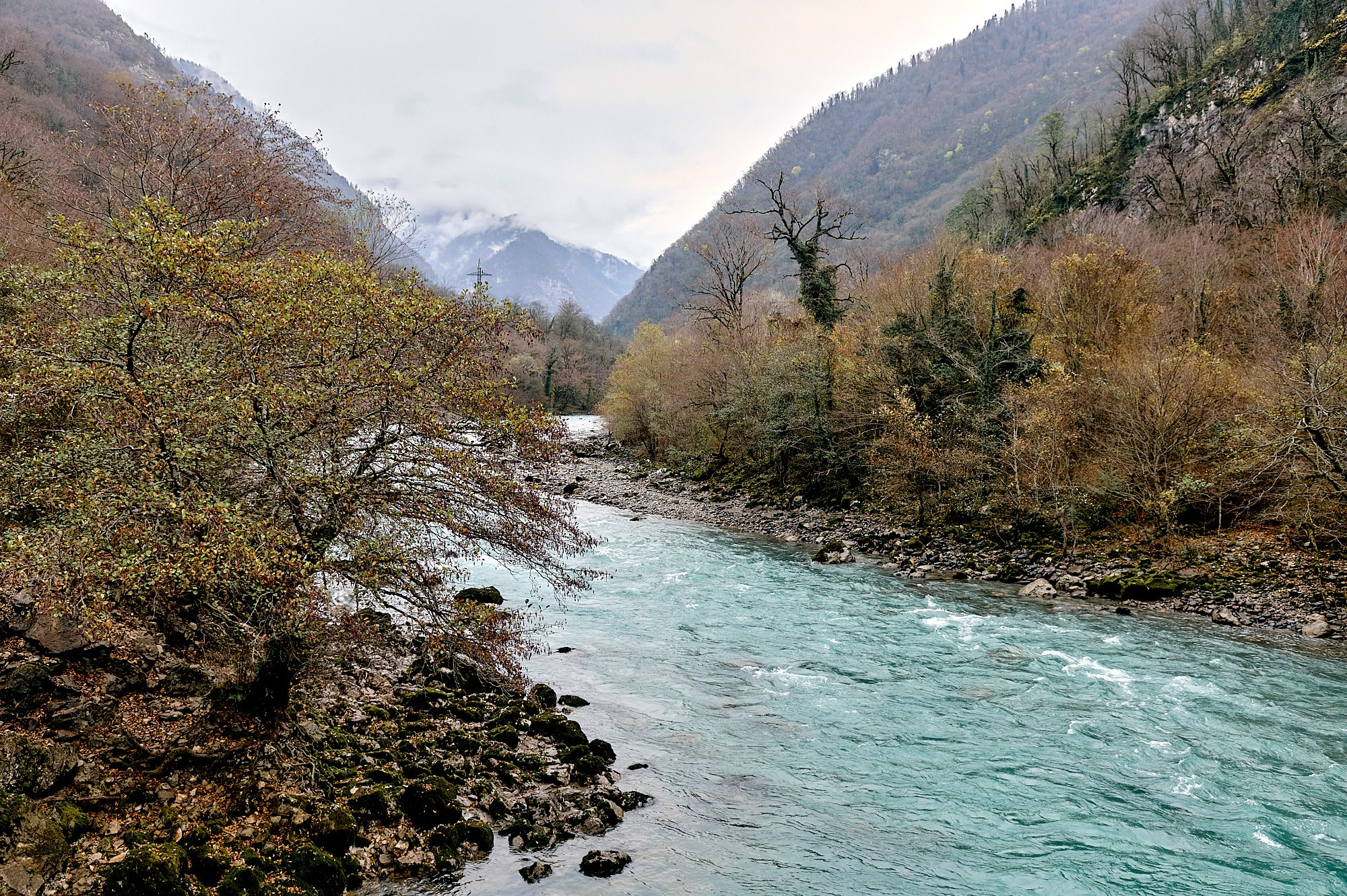 Озеро Рица, Абхазия. Декабрь 2024. Фотографии отовсюду и обо всем