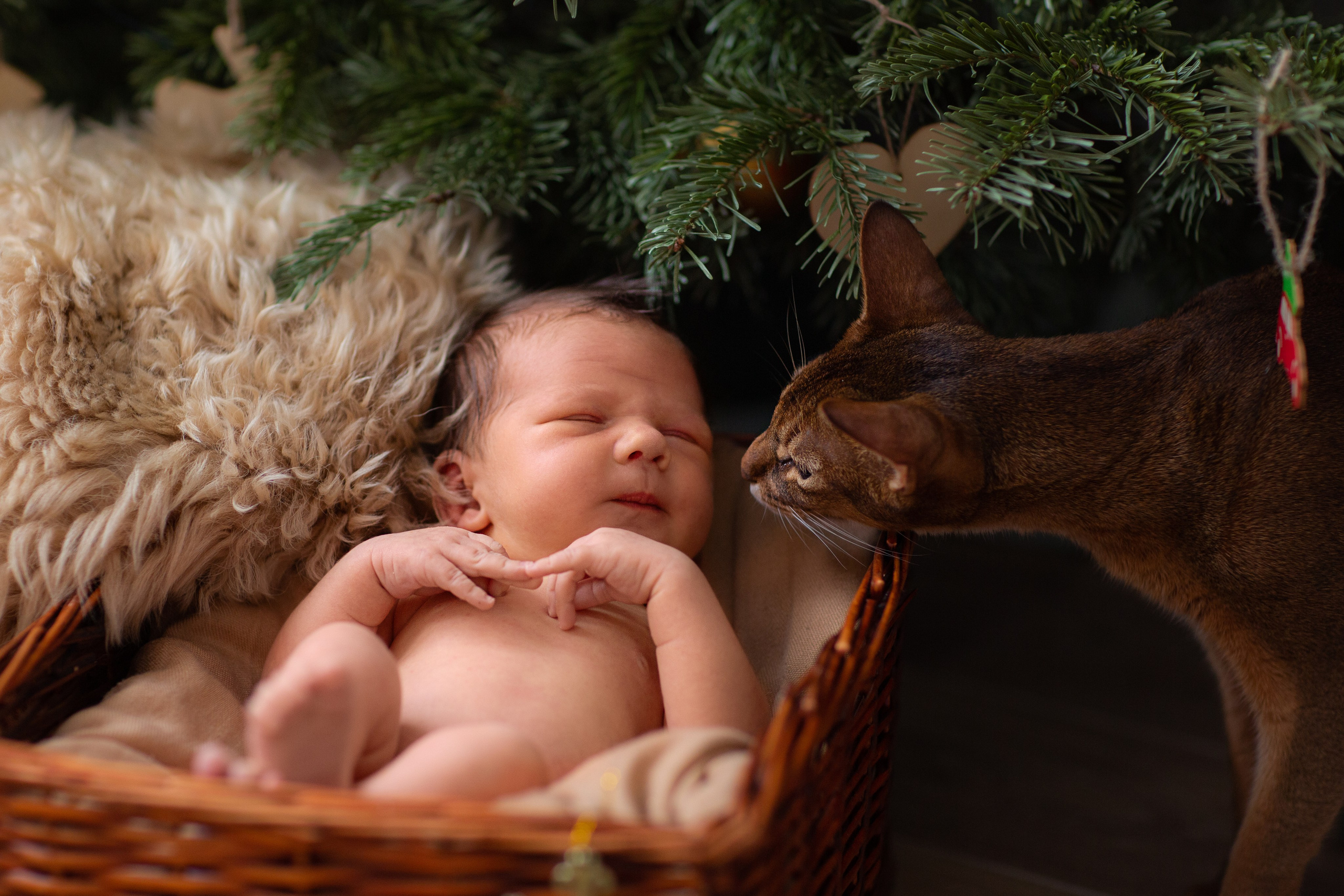 Младенцы. Детский и семейный фотограф в Москве и Подмосковье Светлана Адамова