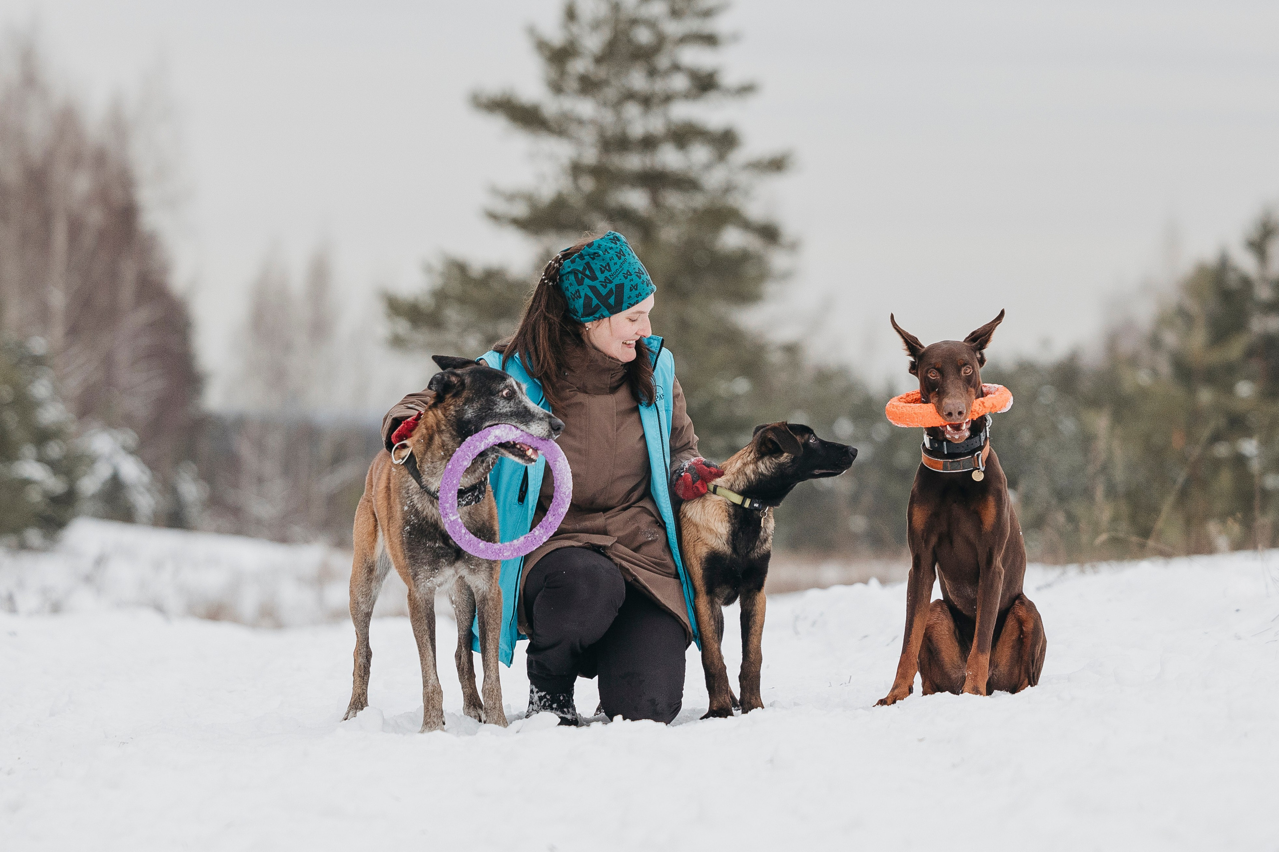Даша, Омен, Айс и Рицу. Фотограф-анималист Анна Маринич