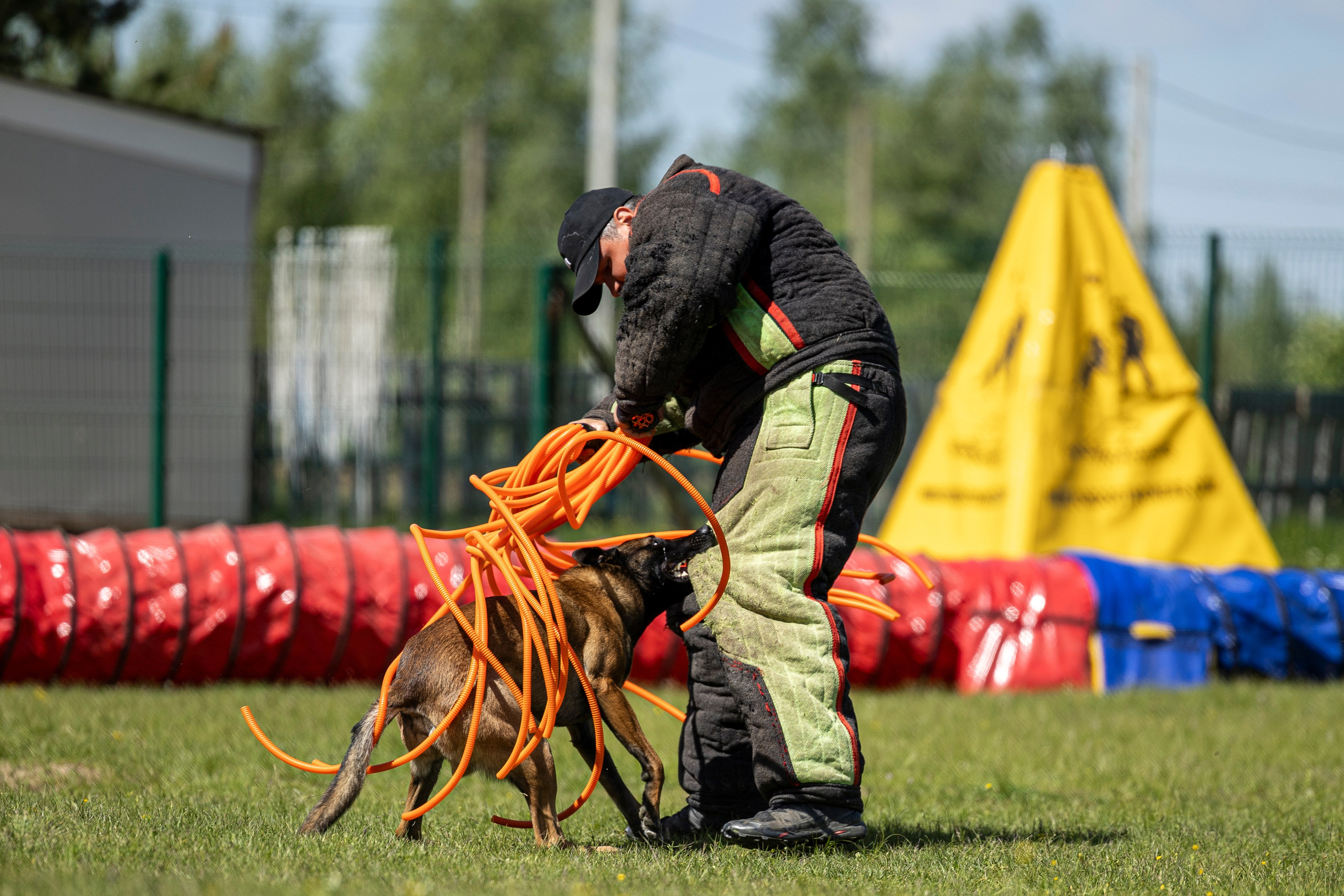 Испытания по мондьорингу в Нижнем Новгороде. Фотограф-анималист Анна Маринич