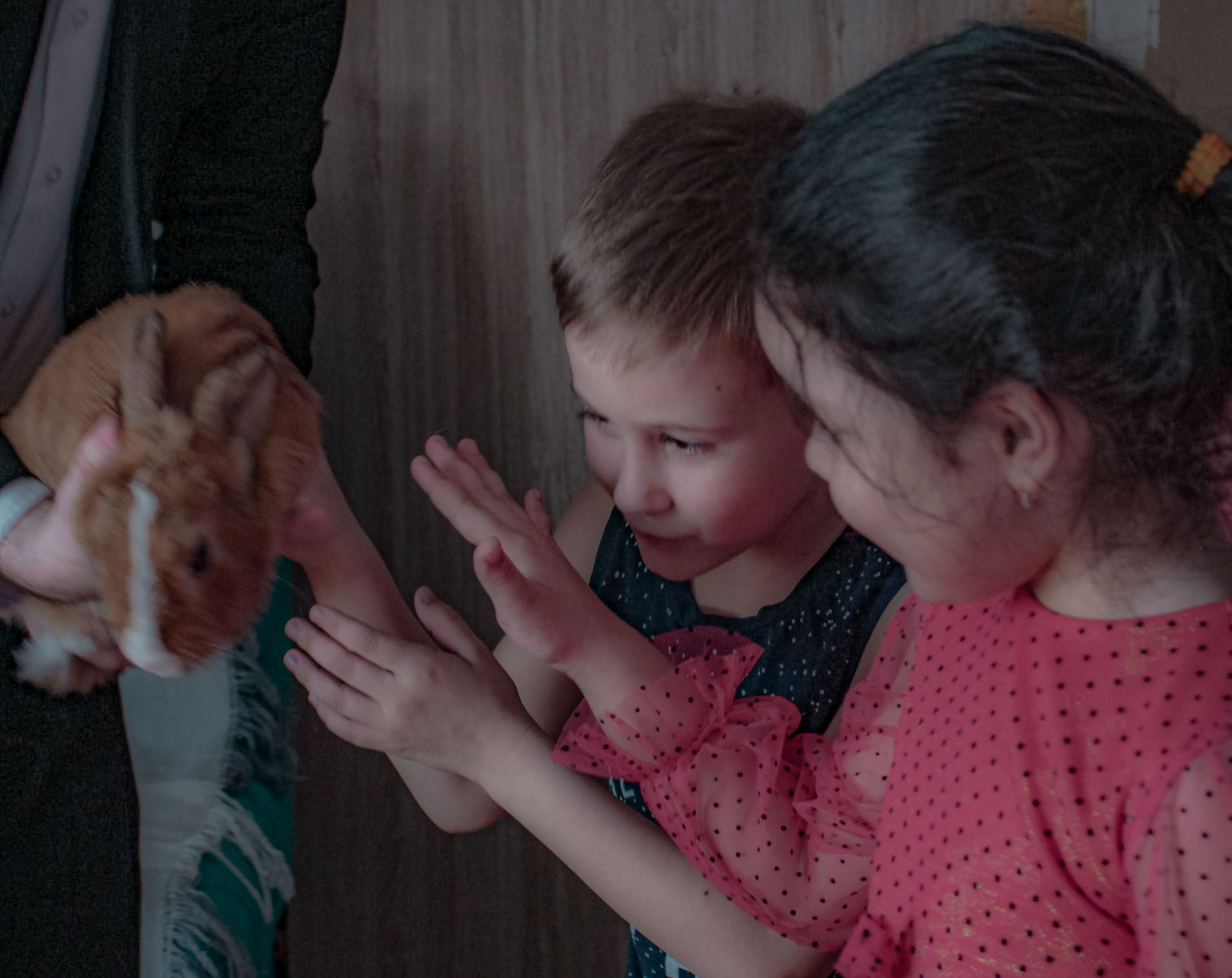 День рождения Даниил (6 лет). Фотограф Екатерина Козловская