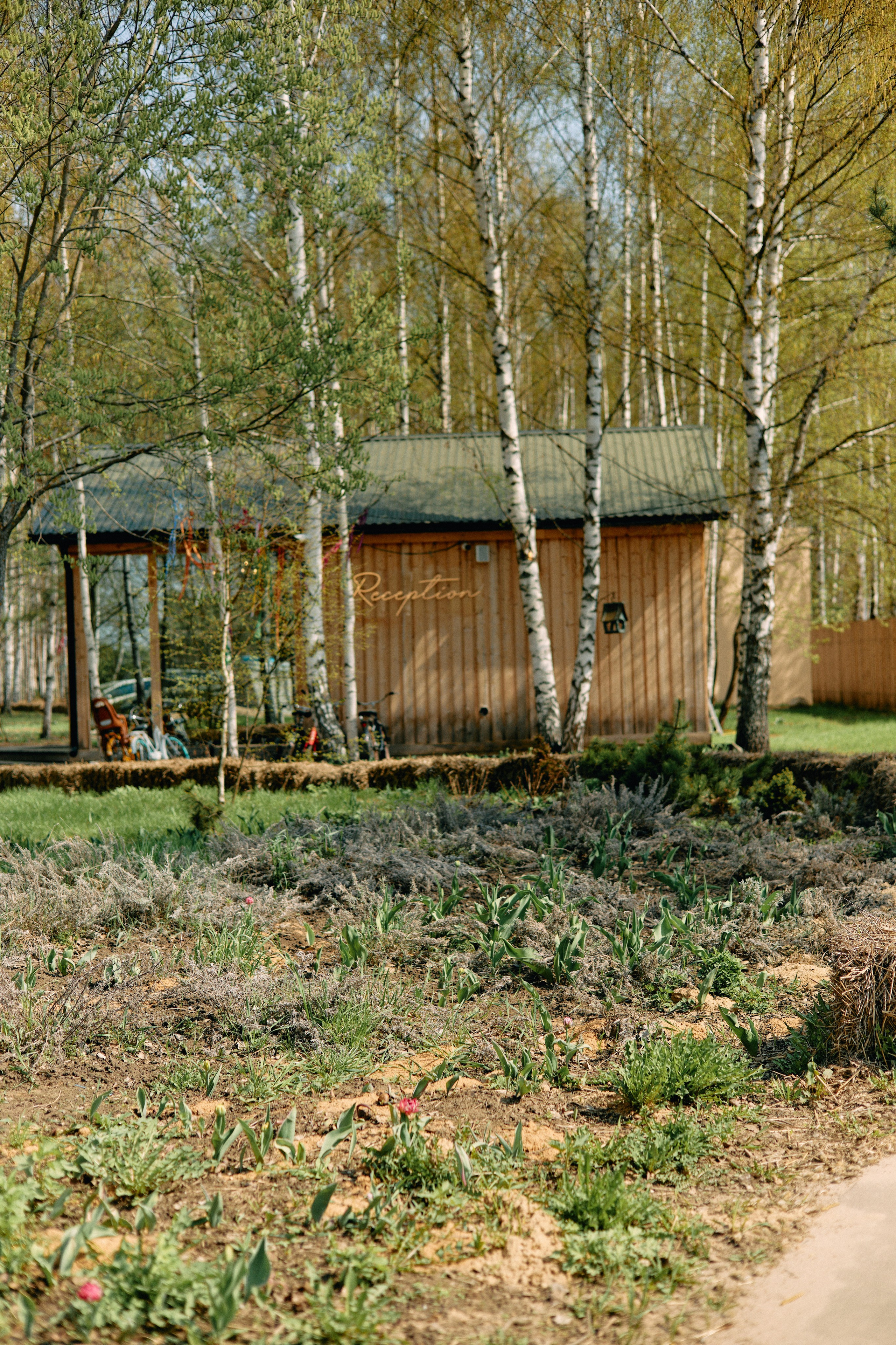 Бутик-отель Поле летом. Профессиональный Фотограф во Владимире, в Москве и в Суздале — Полина Романычева