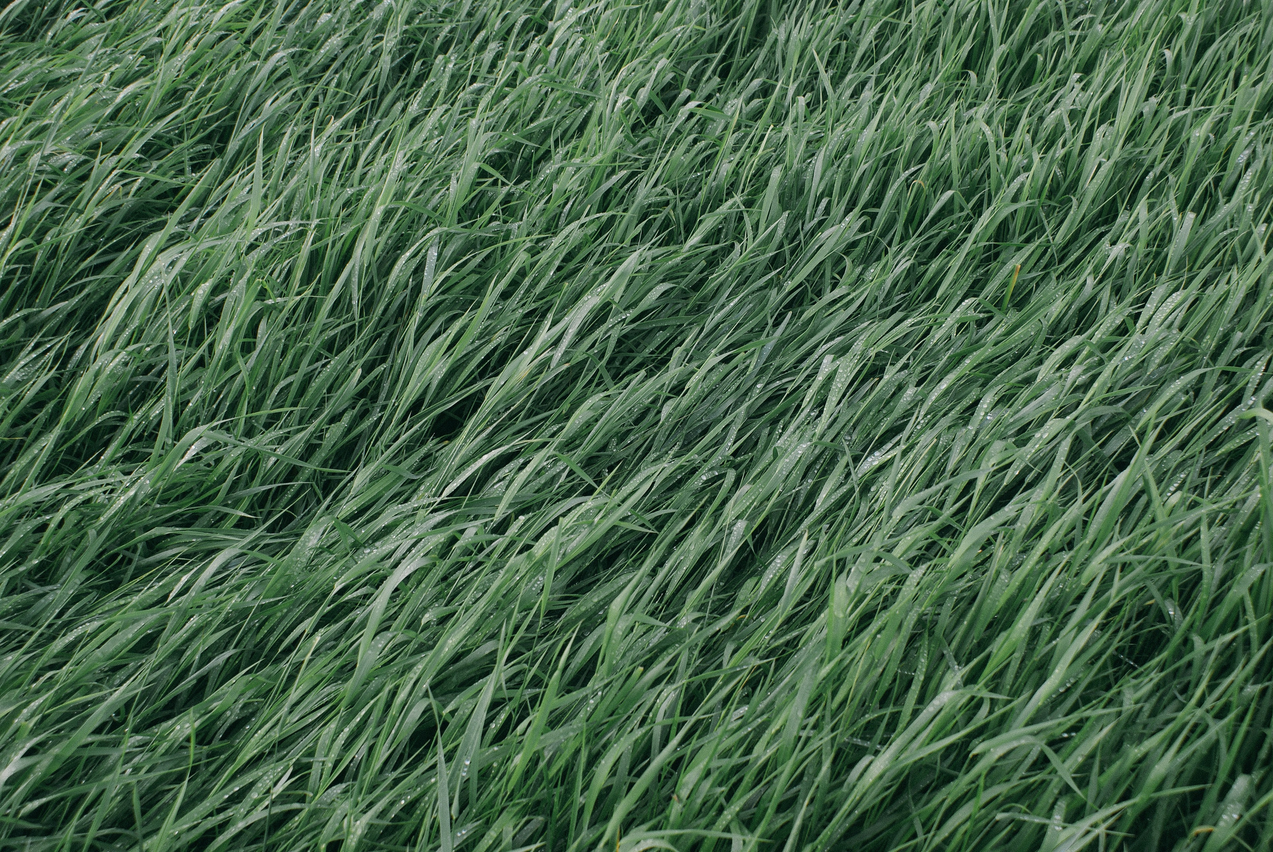 Работы фотографа Юлия Стремского. Фотография Стремского