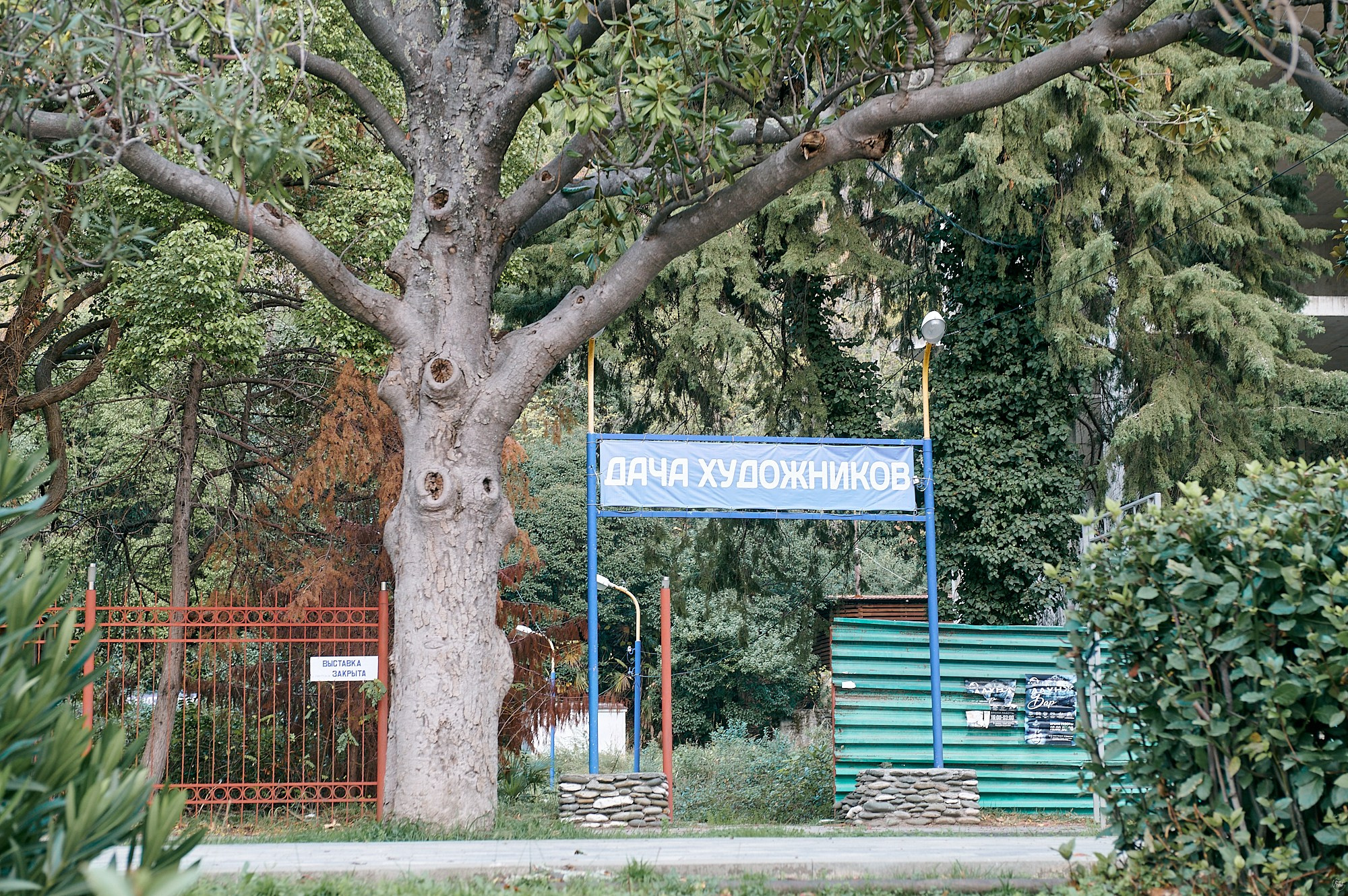 Гагра, Абхазия. Декабрь 2024. Фотографии отовсюду и обо всем