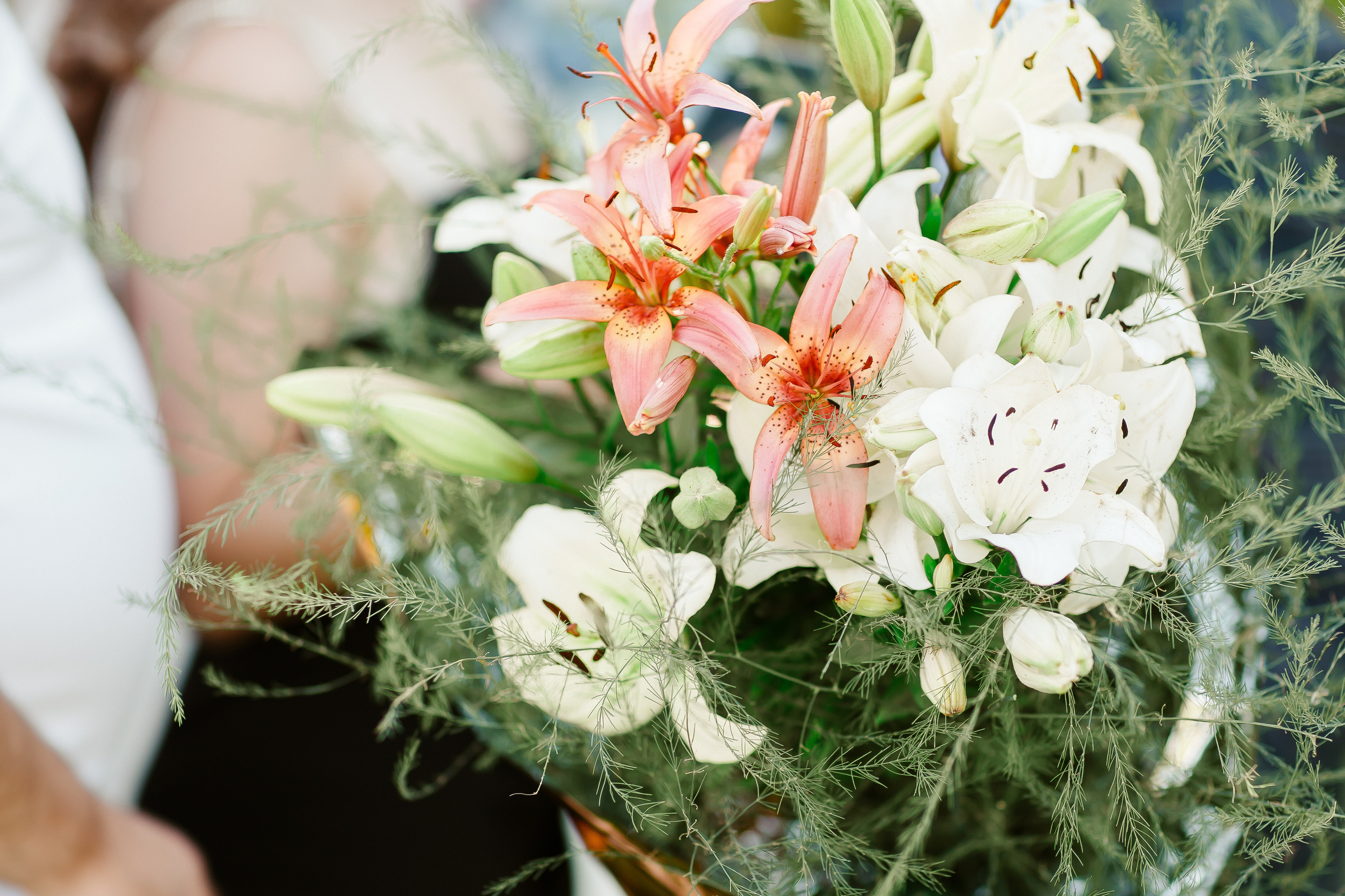 Екатерина и Вячеслав. Свадебный фотограф Серпухов — Москва Ольга Васильева