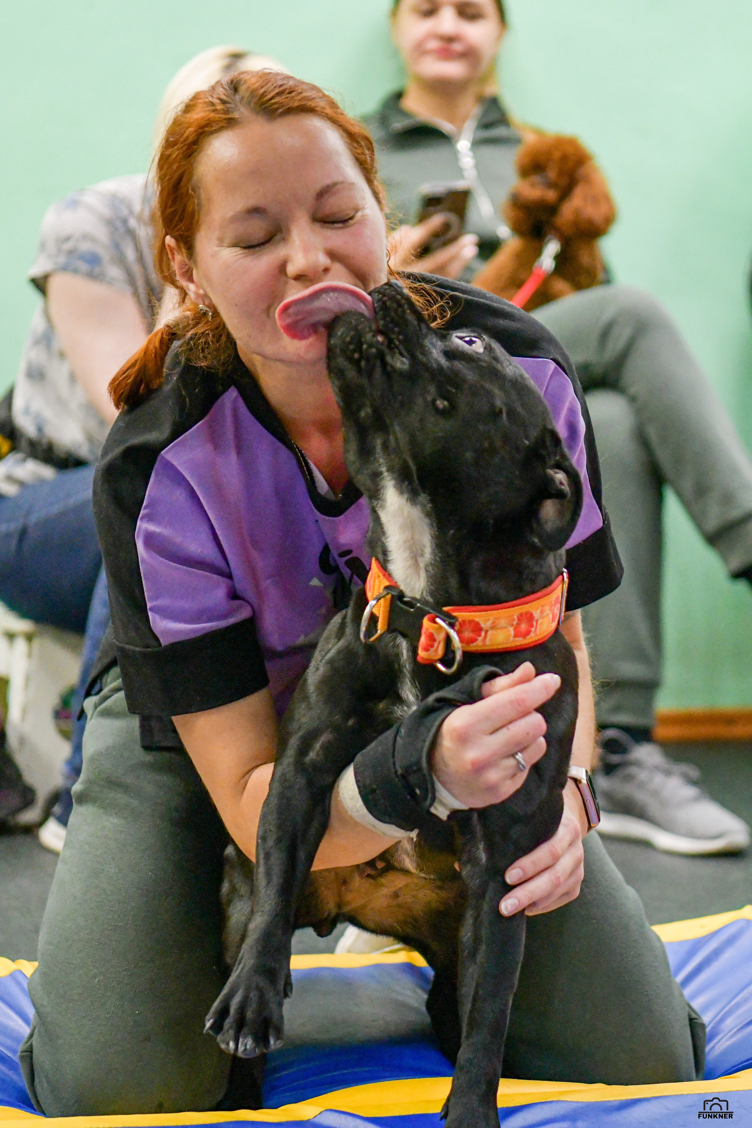 Кинологический клуб «Бодрый хвост». Свой взгляд через объектив