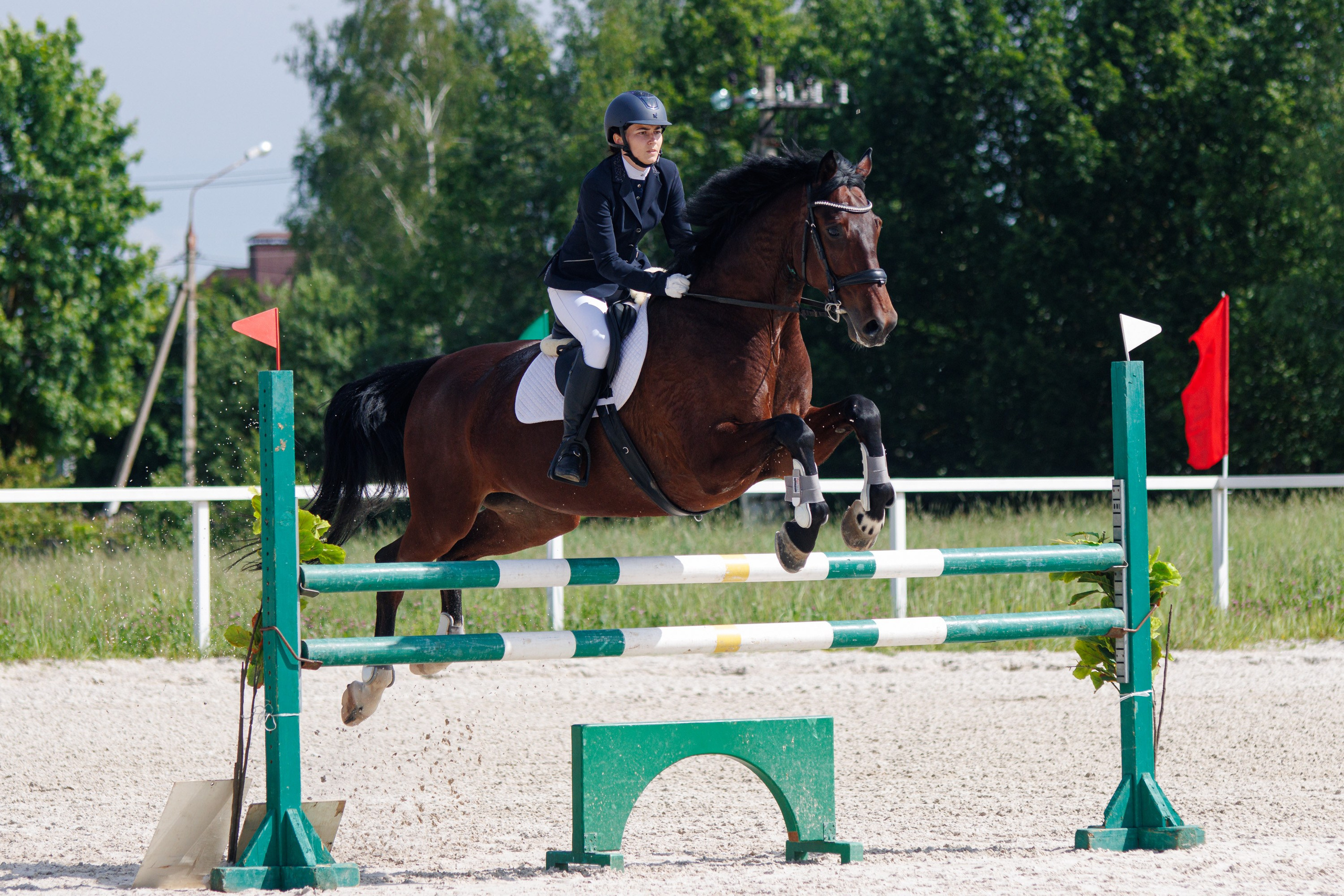 Конный спорт. Спортивный фотограф Вадим Добедченков