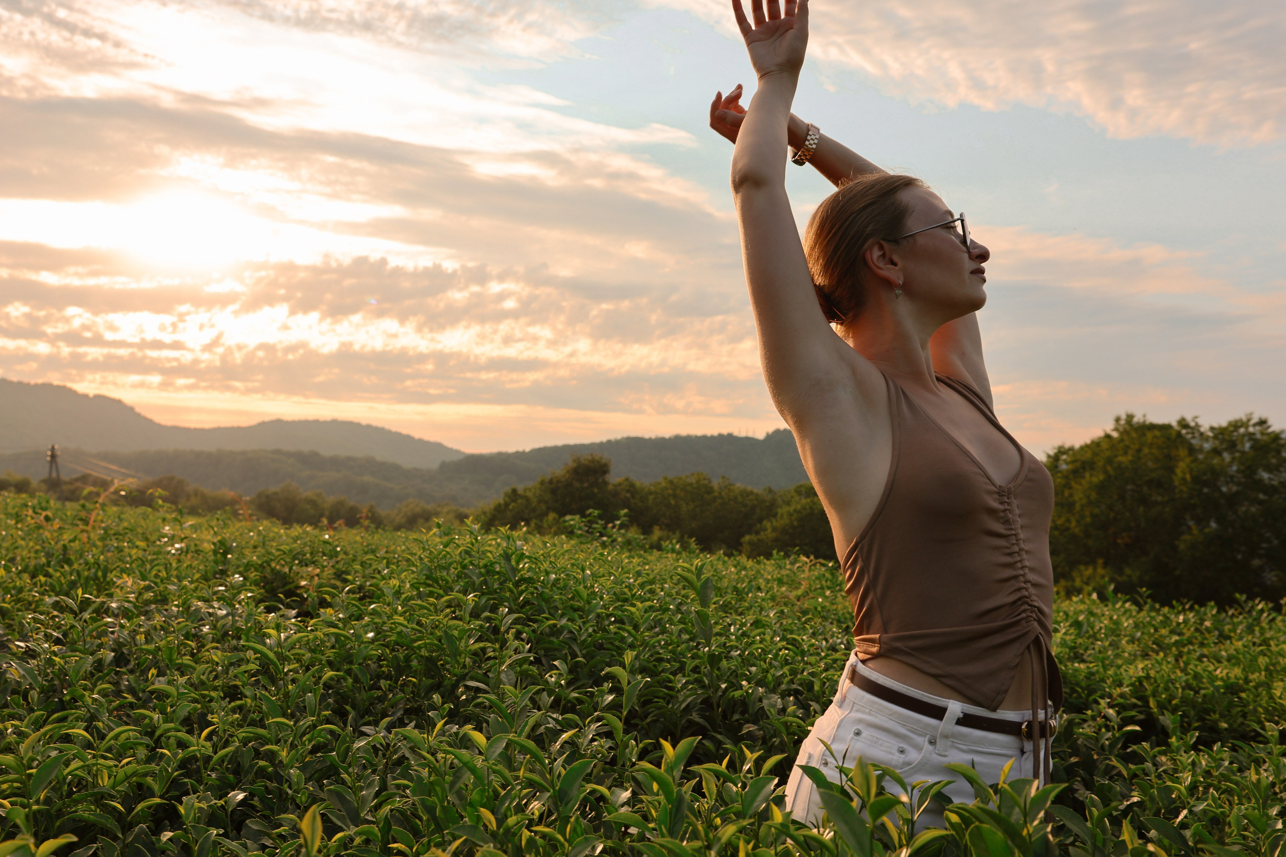 ЧАЙНЫЕ ПЛАНТАЦИИ. Фотограф Москва Оля Олбимак