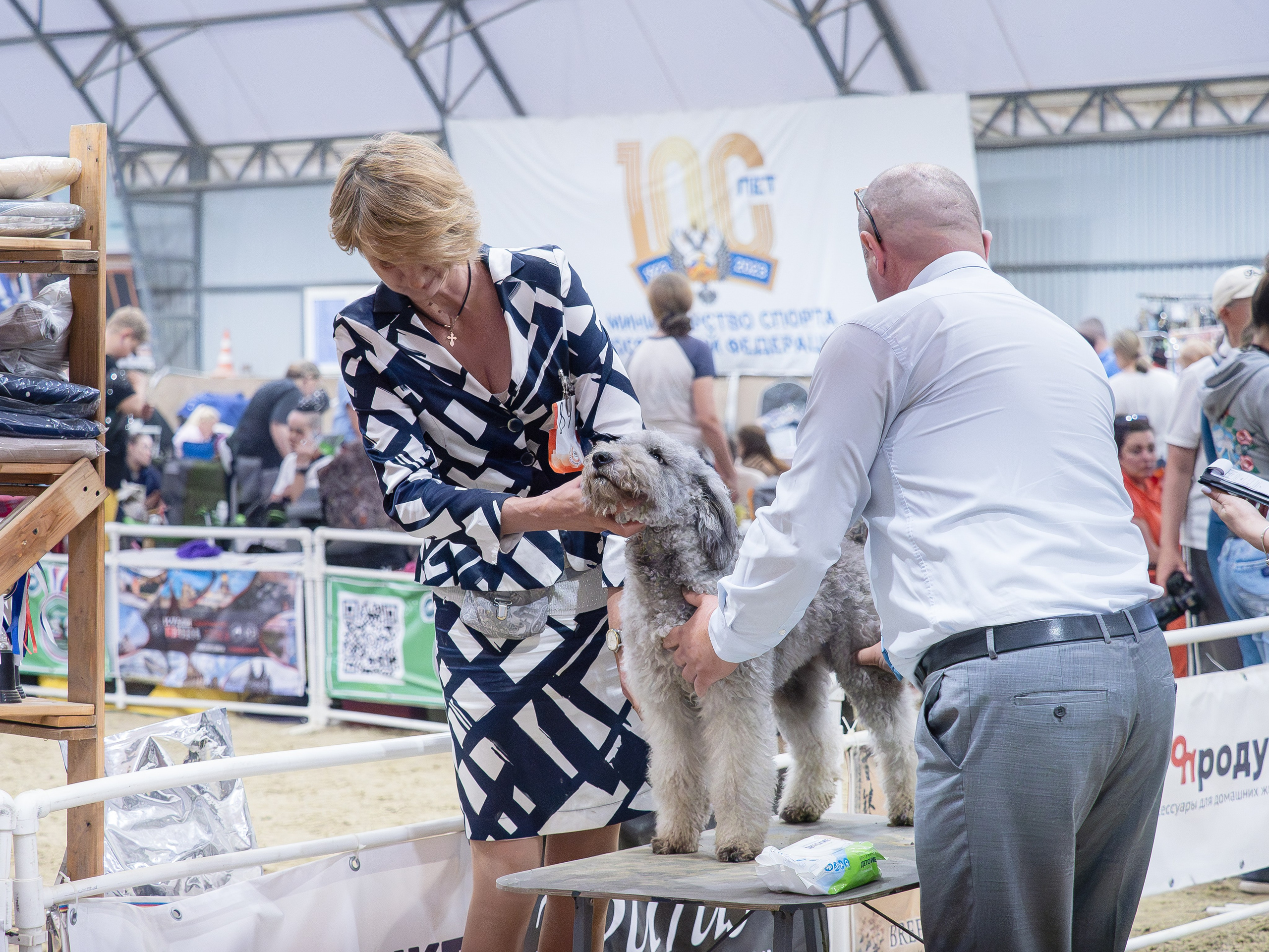 Репортажная съемка выставок. Фотограф анималист Тюгаева Мария