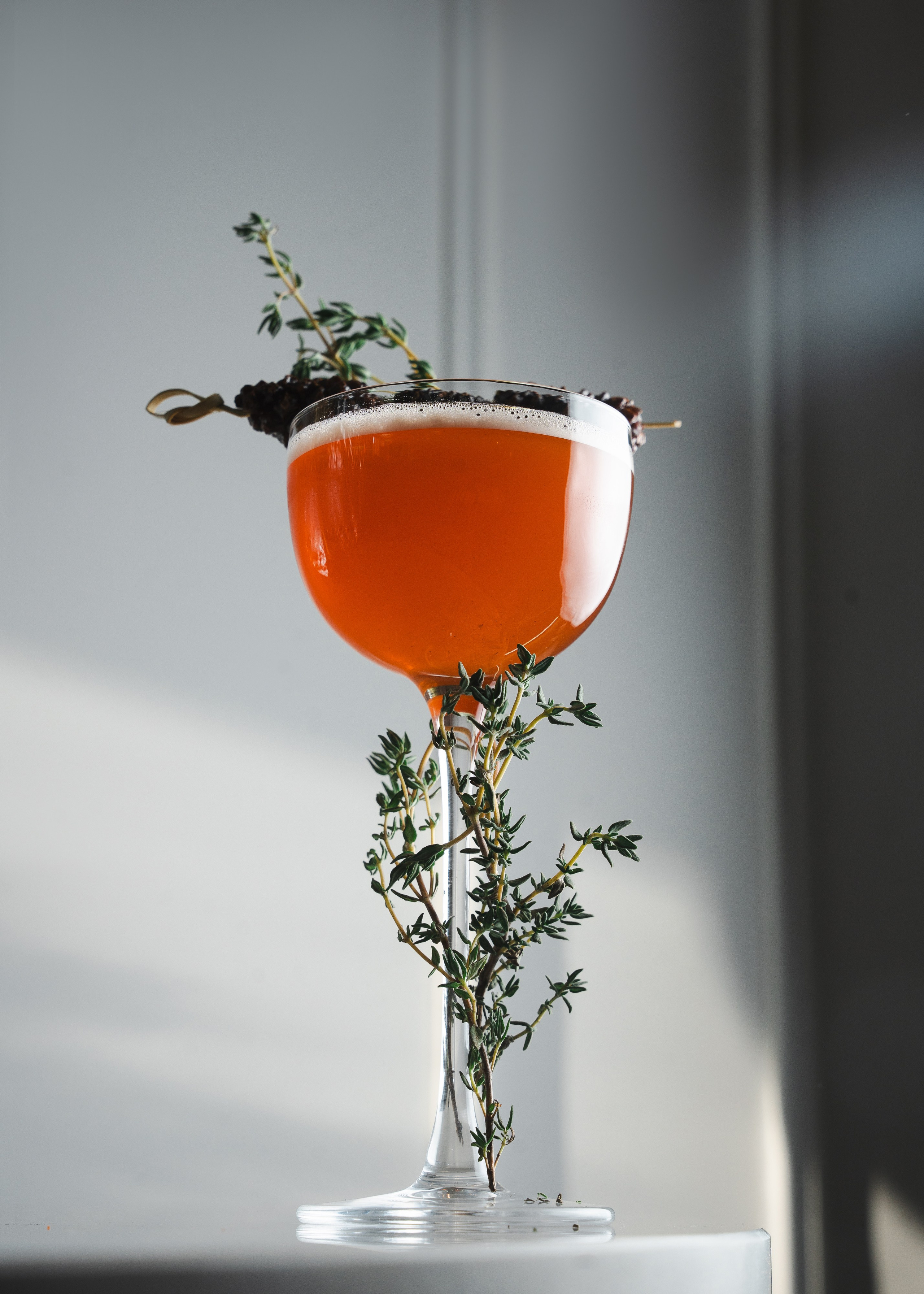 Гимлет. Фотограф Хабаровск