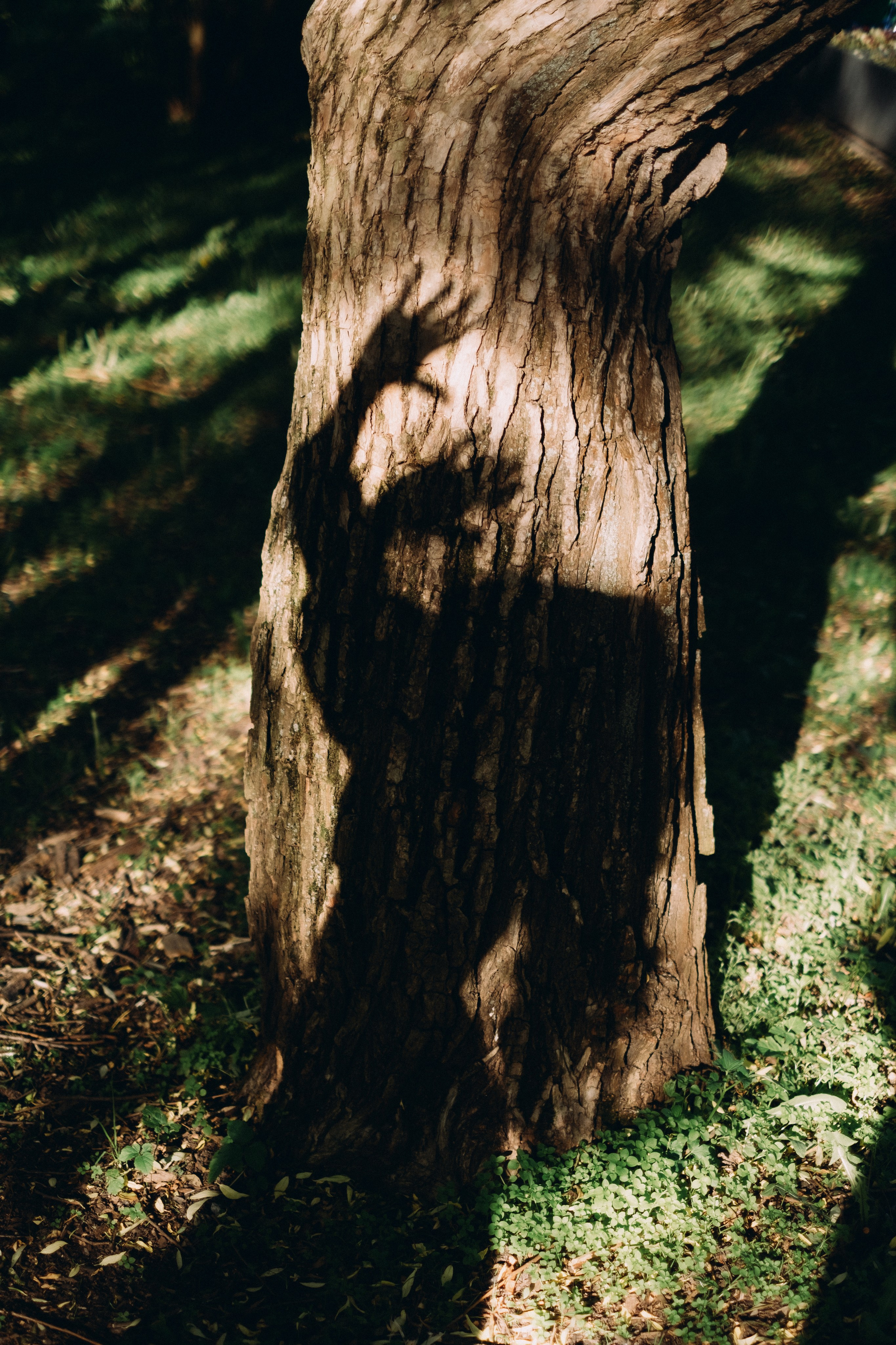 Portrait. Юлия Ельцина — фотограф и видеограф в Екатеринбурге