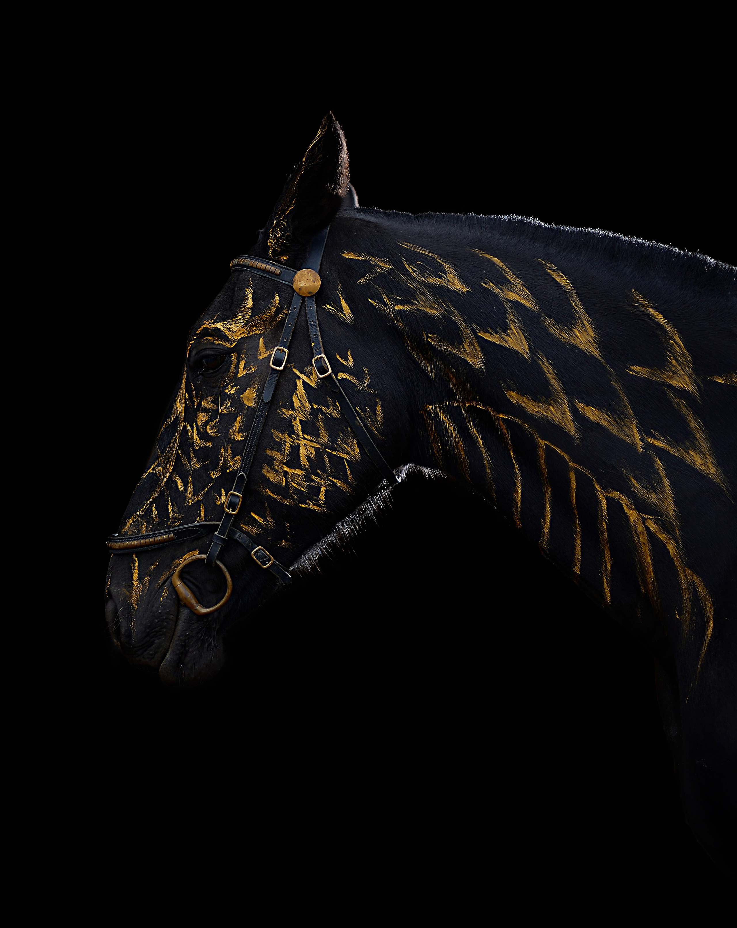 Княжа. Фотограф в Севастополе