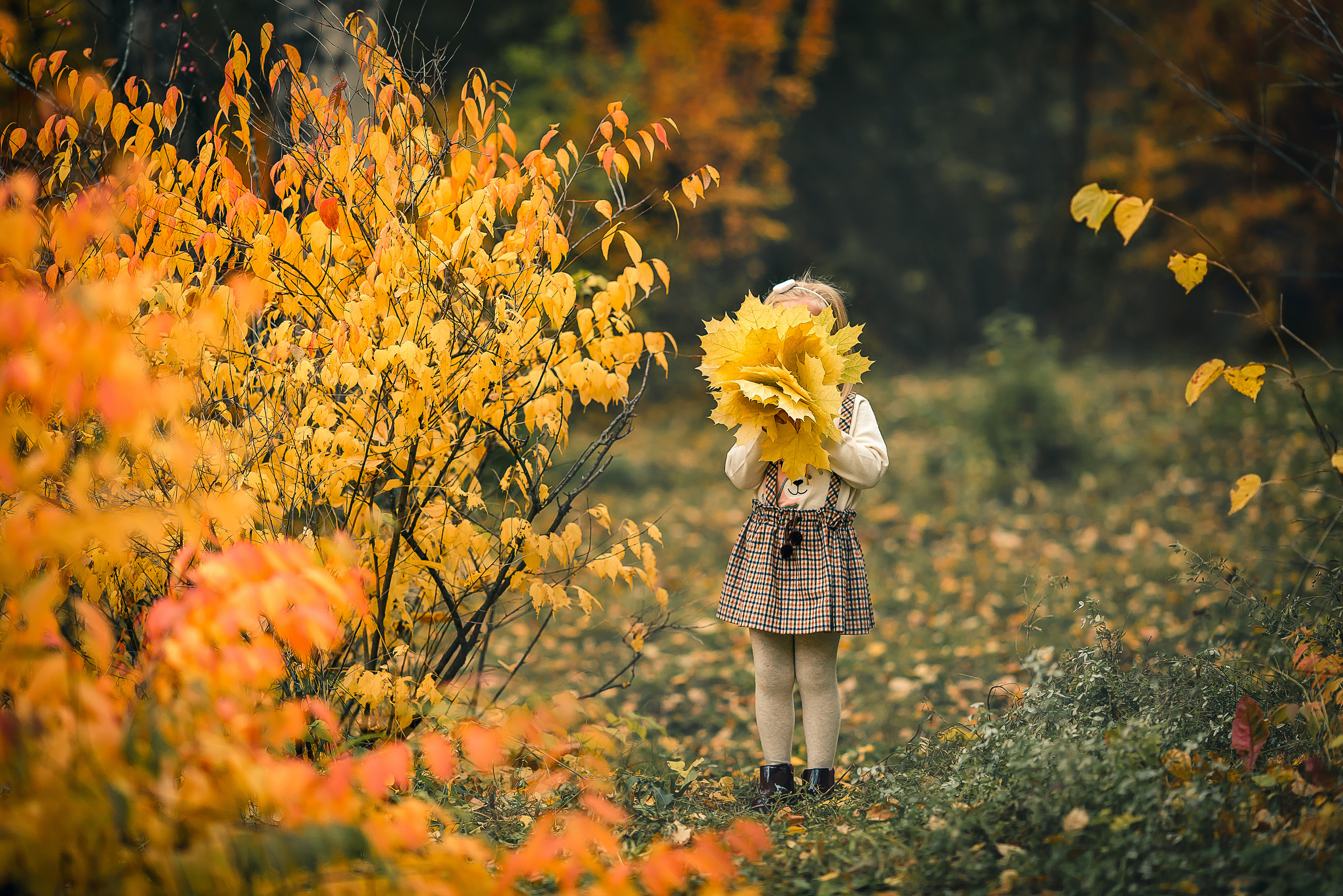 Детский и семейный фотограф в Красноярске Елена Коровкина