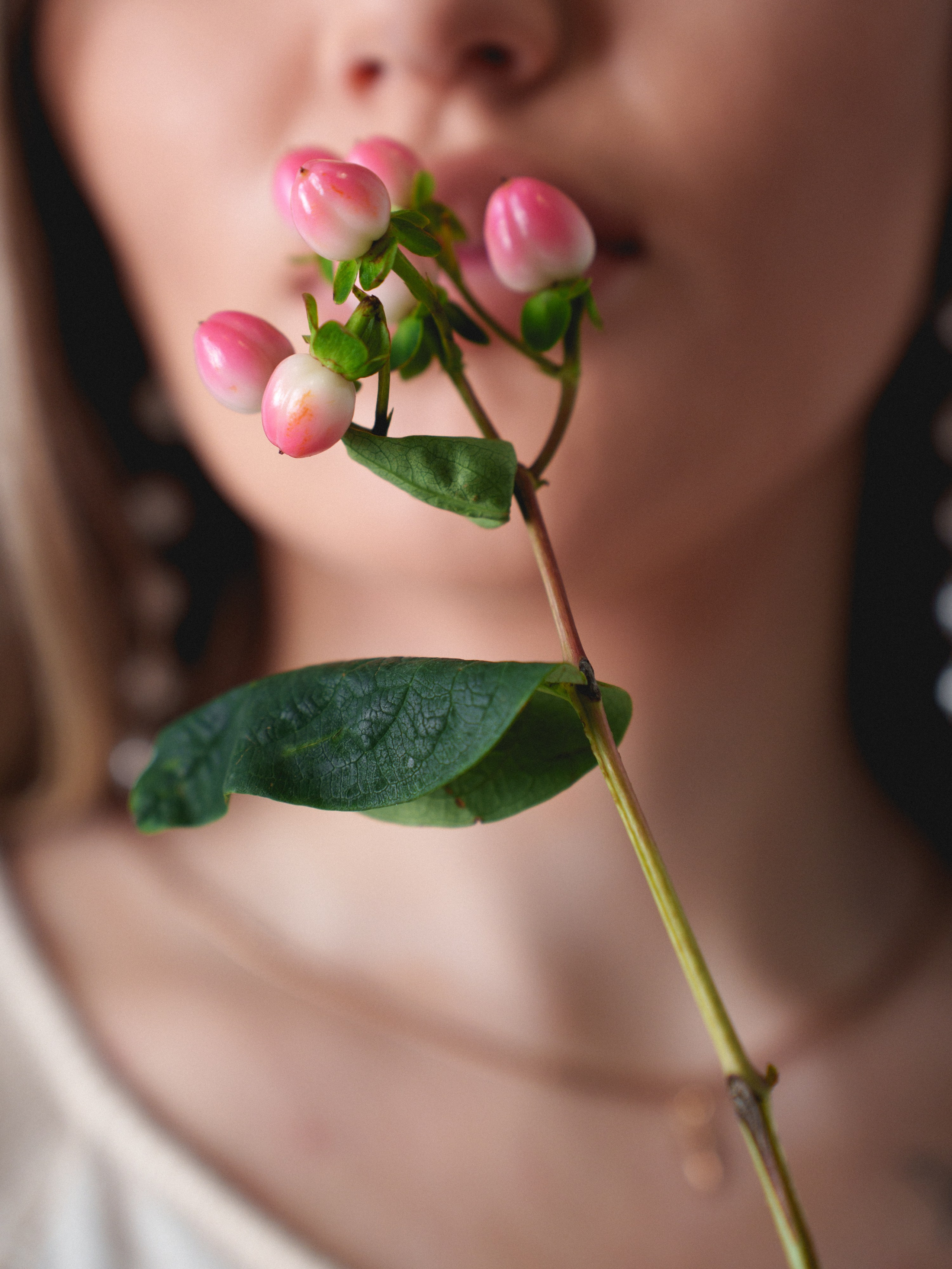 Цветы (контент к 14 февраля). Иван Упоров — фотограф, рилсмейкер чебоксары