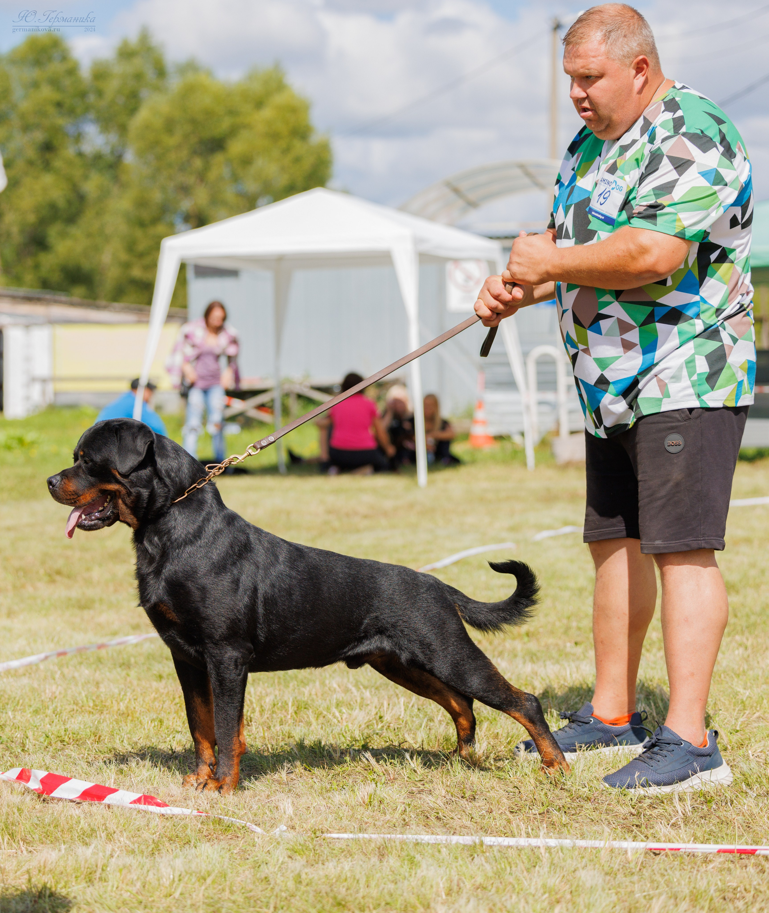 Рязань-Ховрино 10-11.08.2024 3хмоно ротвейлеров. Фотограф-анималист Юлия Германика